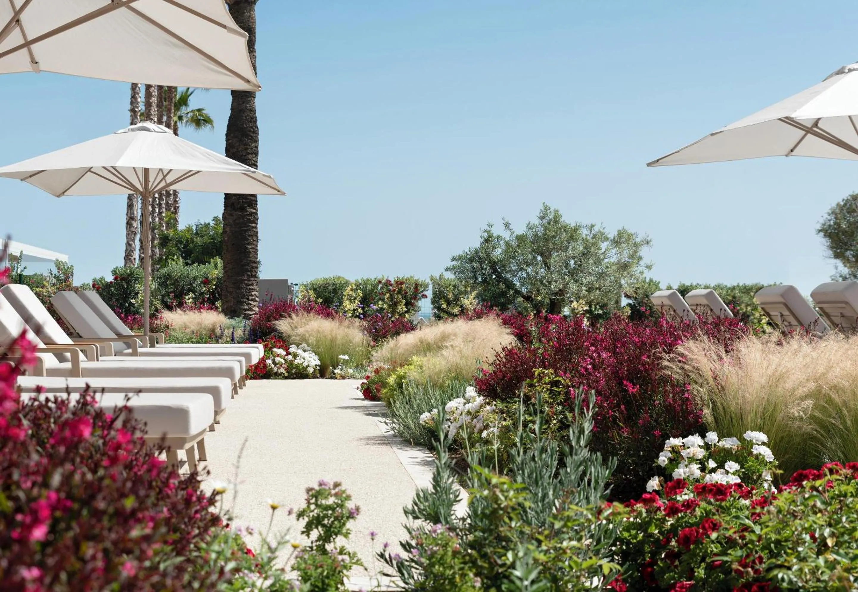 Garden in Ikos Andalusia