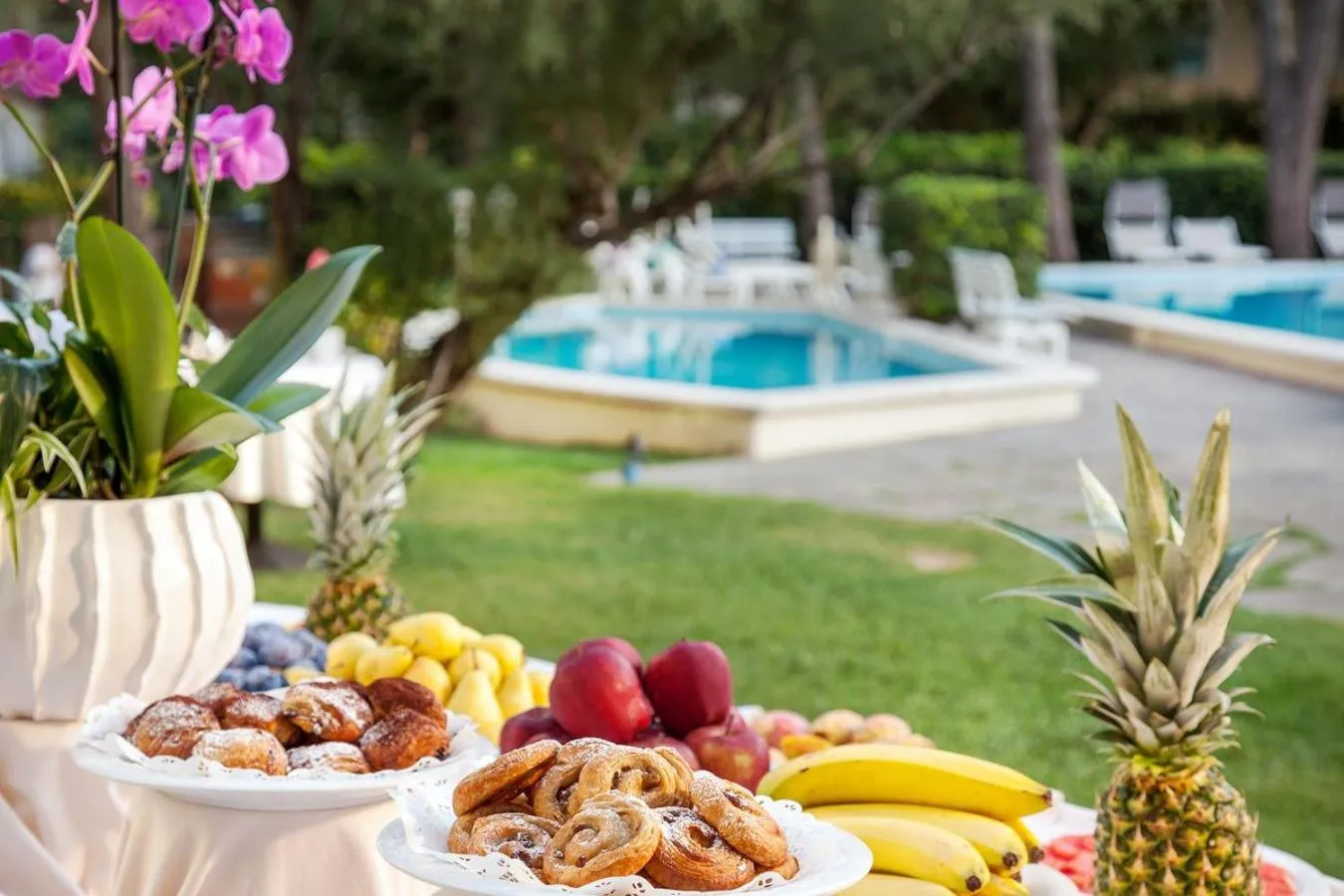 Garden in Hotel Doge