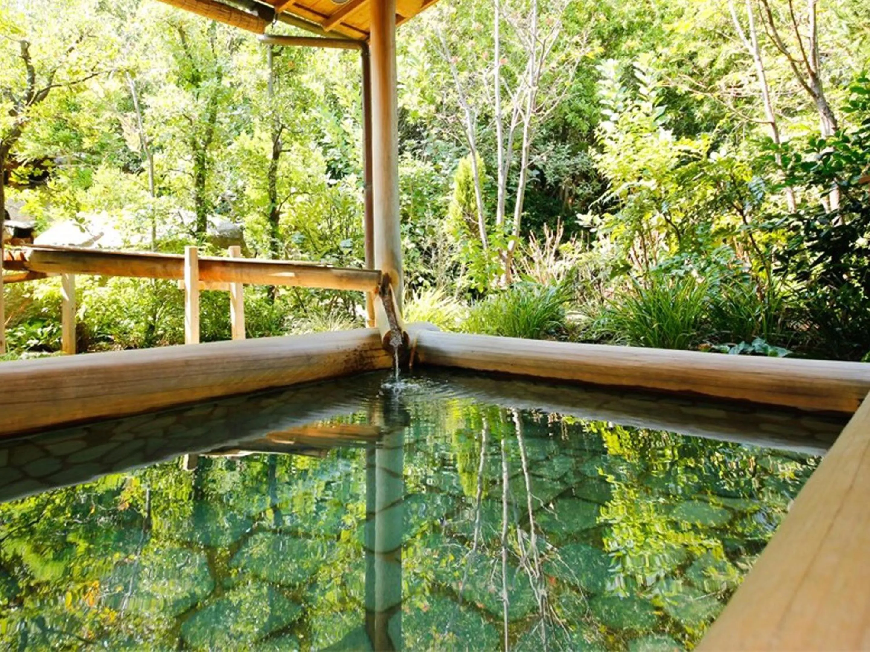 Hot Spring Bath in Yumoto Konpira Onsen Hananoyu Kobaitei
