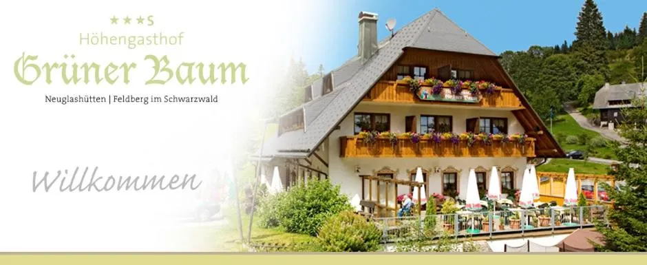 Facade/entrance in Hotel & Restaurant Grüner Baum - Die Grüne Oase Am Feldberg