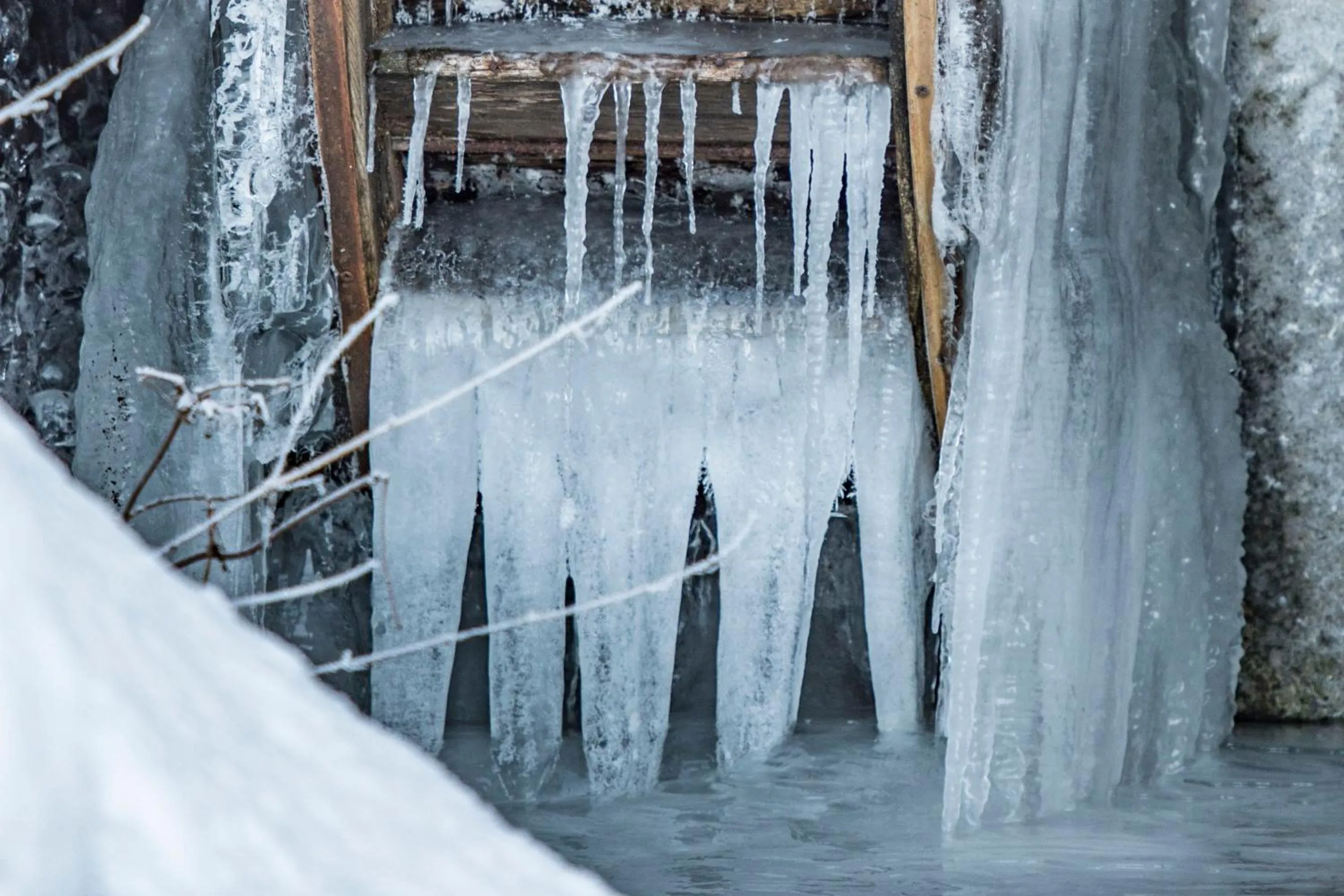 Hotel & Restaurant Grüner Baum - Die Grüne Oase Am Feldberg