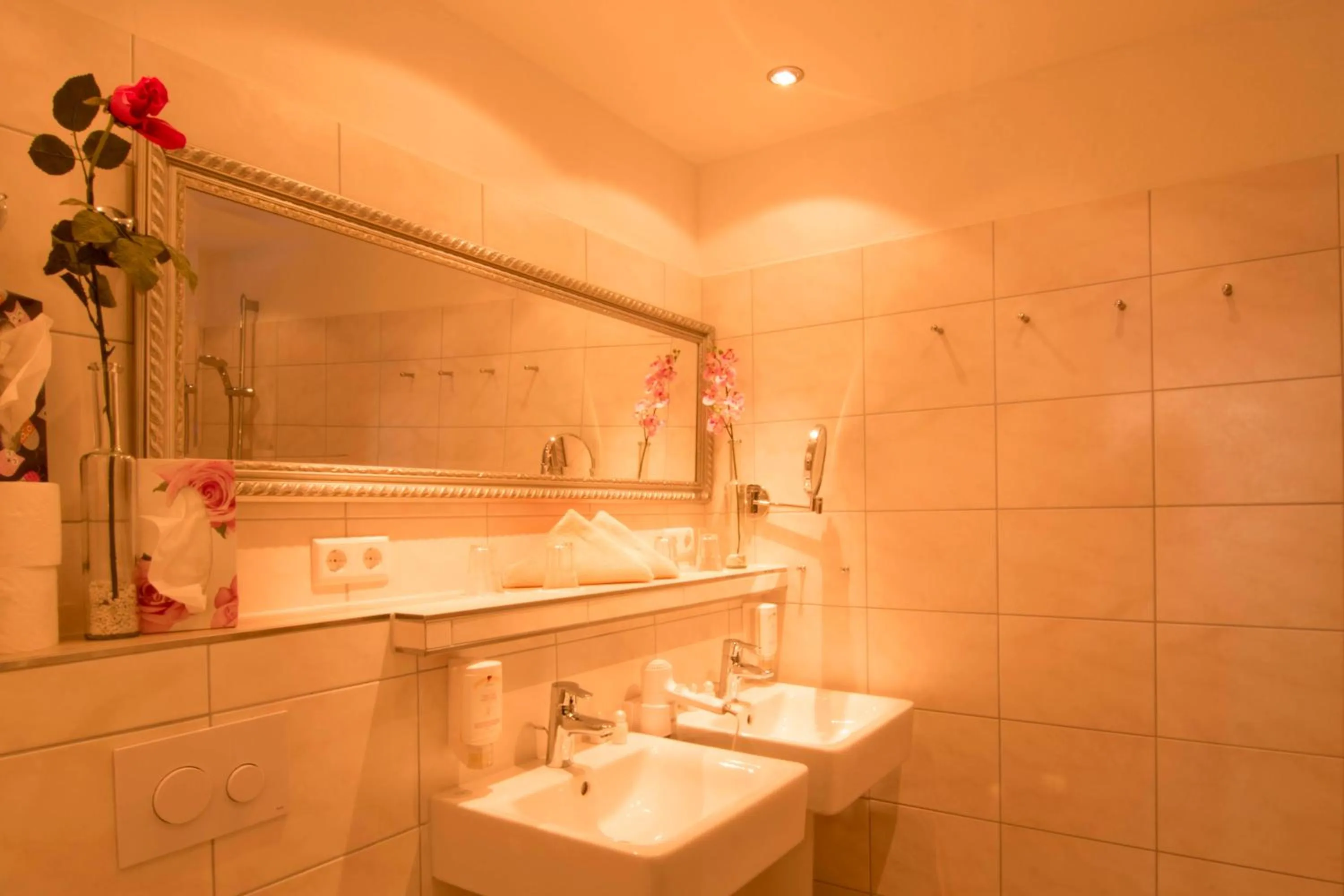 Shower in Hotel & Restaurant Grüner Baum - Die Grüne Oase Am Feldberg