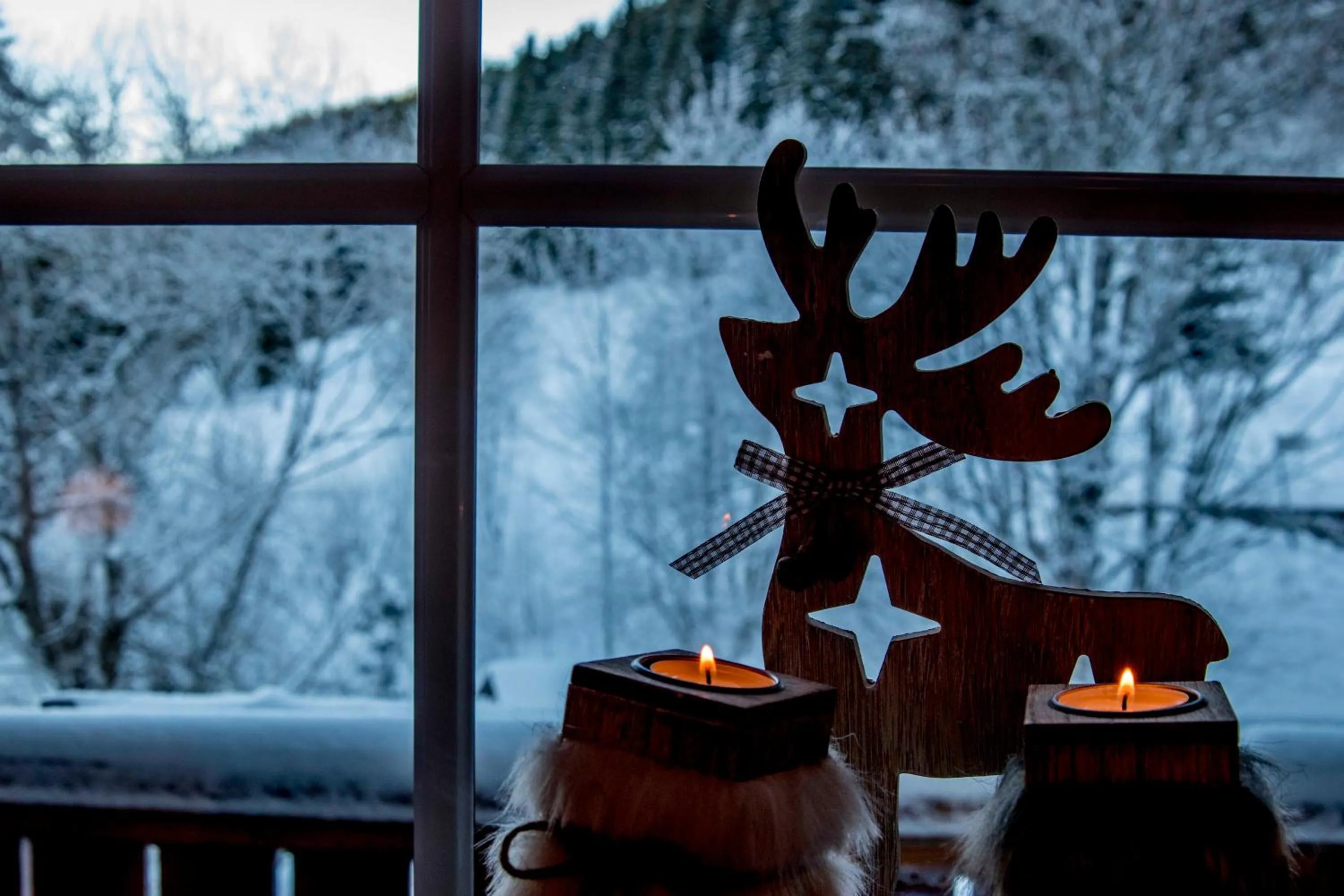 Winter in Hotel & Restaurant Grüner Baum - Die Grüne Oase Am Feldberg