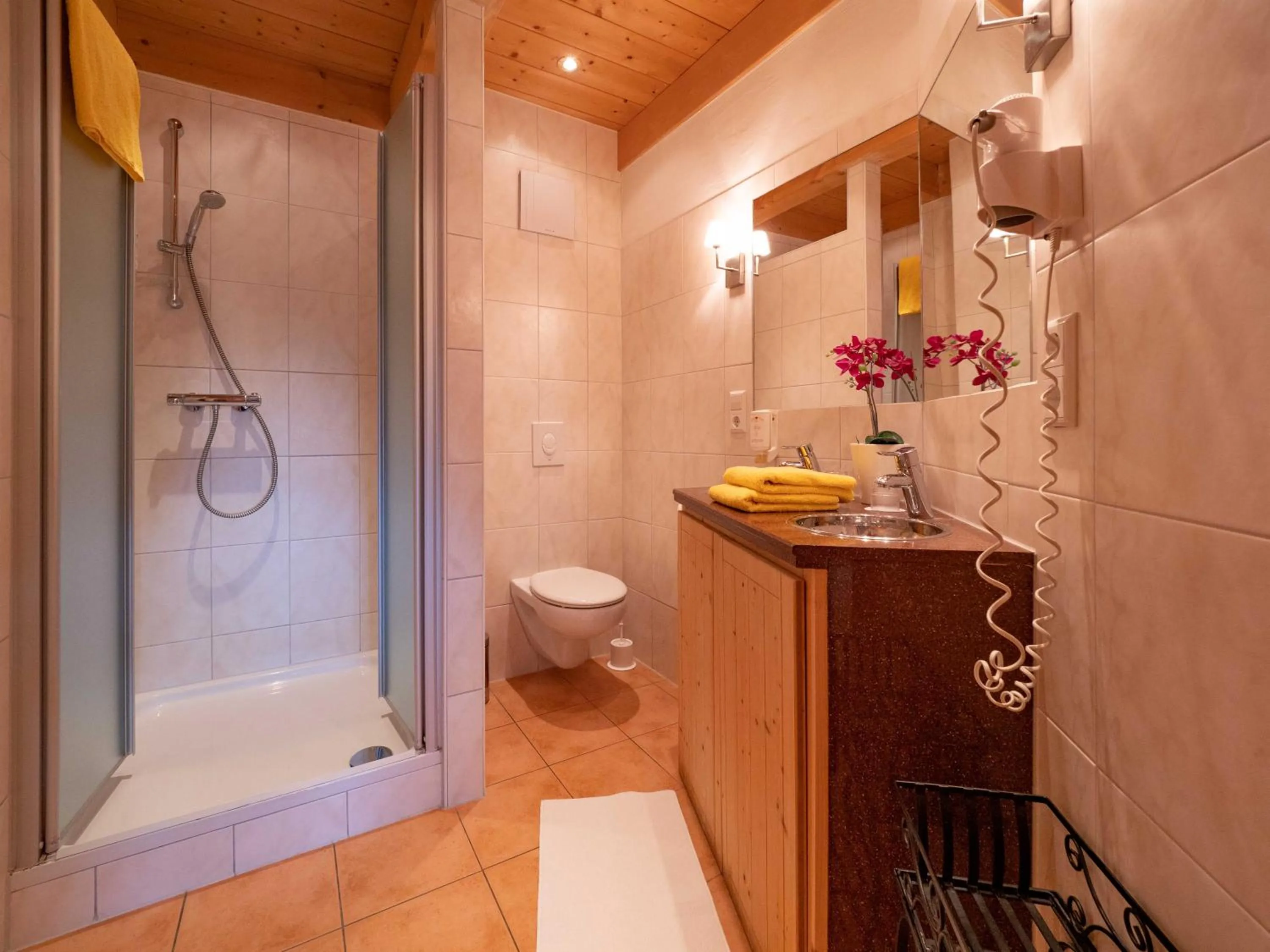 Hotel & Restaurant Grüner Baum - Die Grüne Oase Am Feldberg