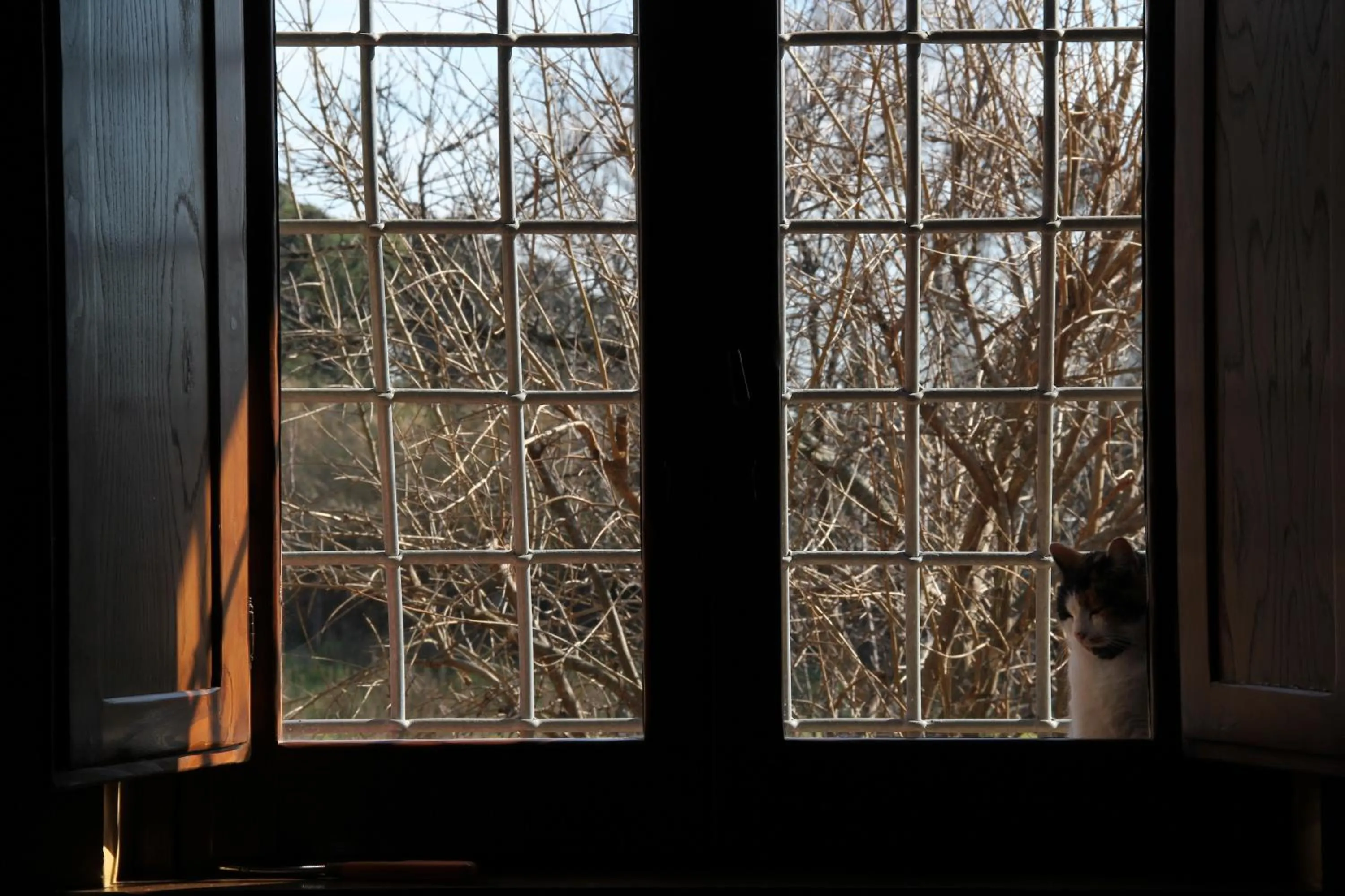 Decorative detail in Al Vecchio Fontanile B&B