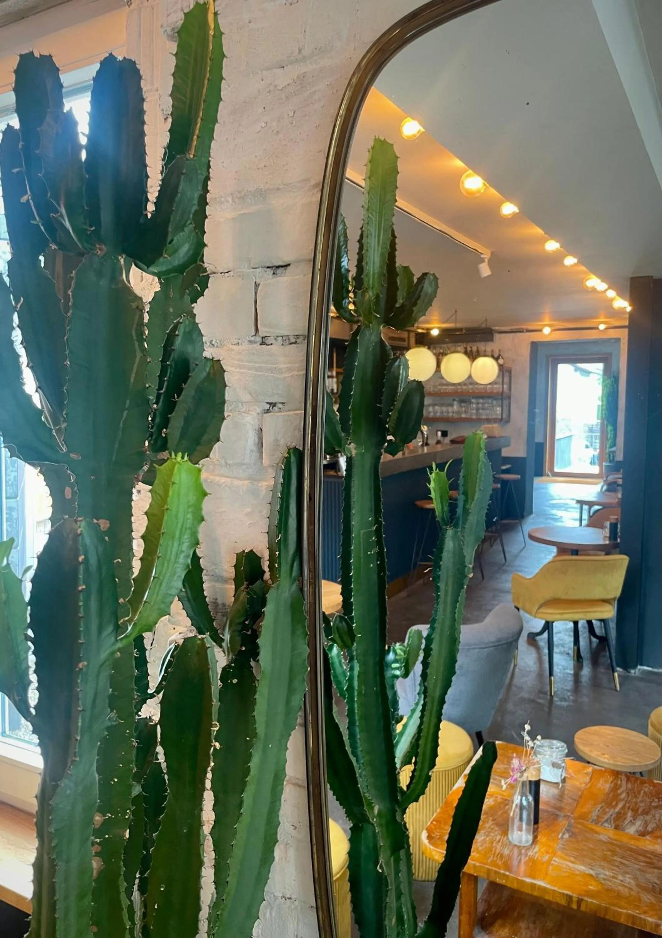 Restaurant/places to eat in Hotel Tari