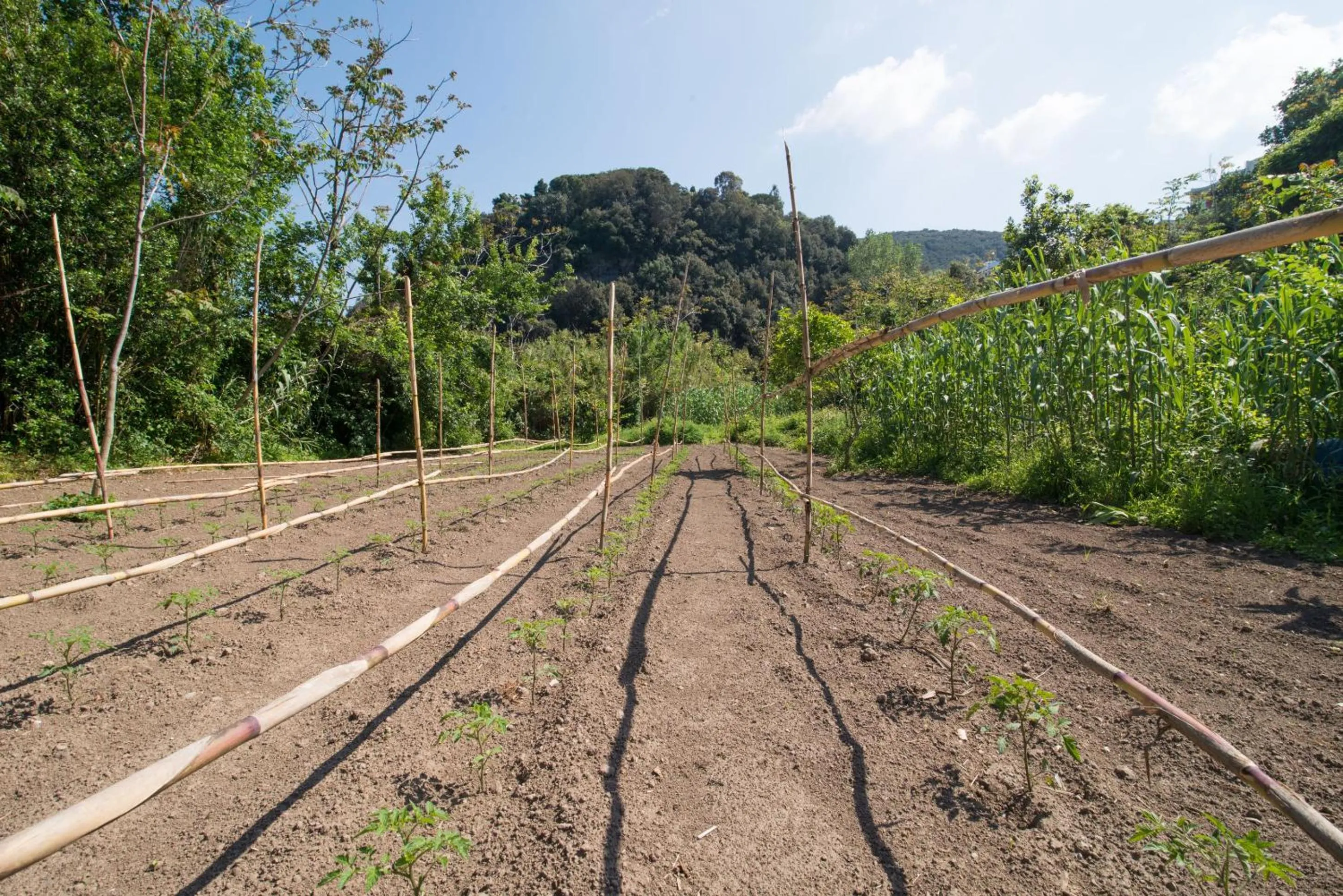 Natural landscape in Hotel Bagnitiello