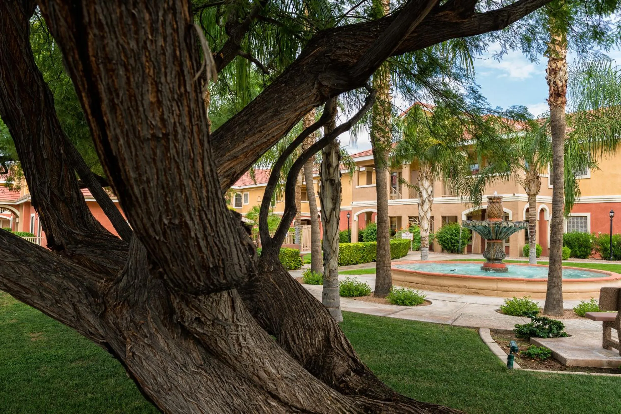 Garden in Westgate Painted Mountain Golf Resort