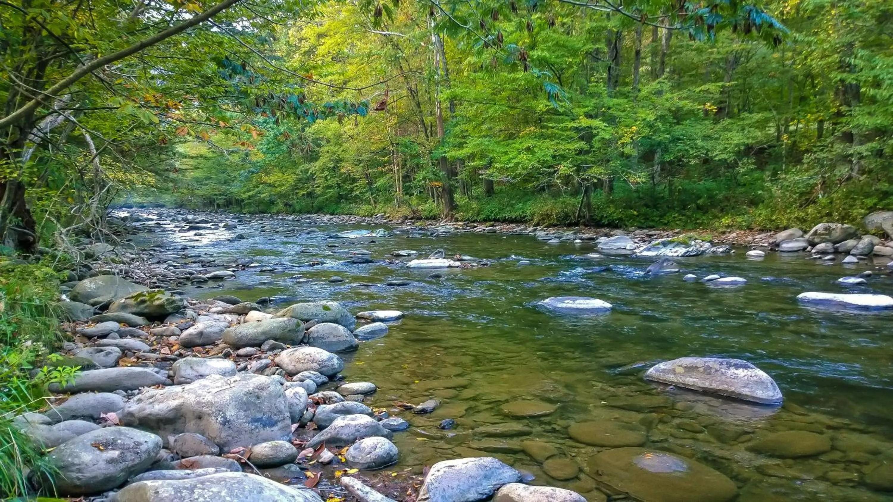 Natural landscape in Westgate Smoky Mountain Resort & Spa