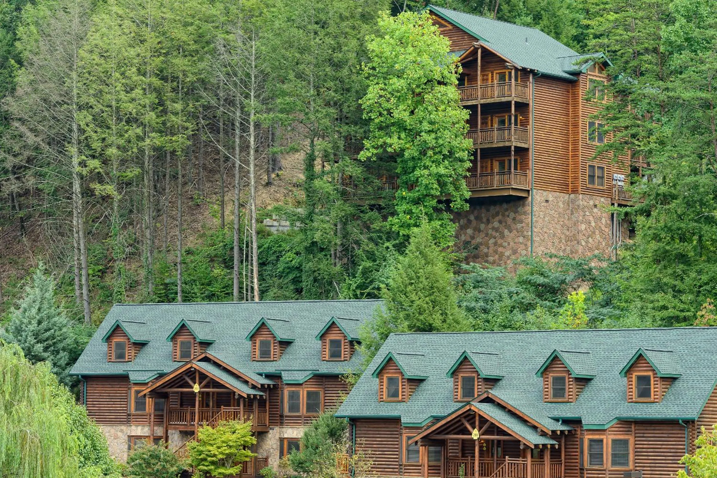 Bird's eye view in Westgate Smoky Mountain Resort & Spa