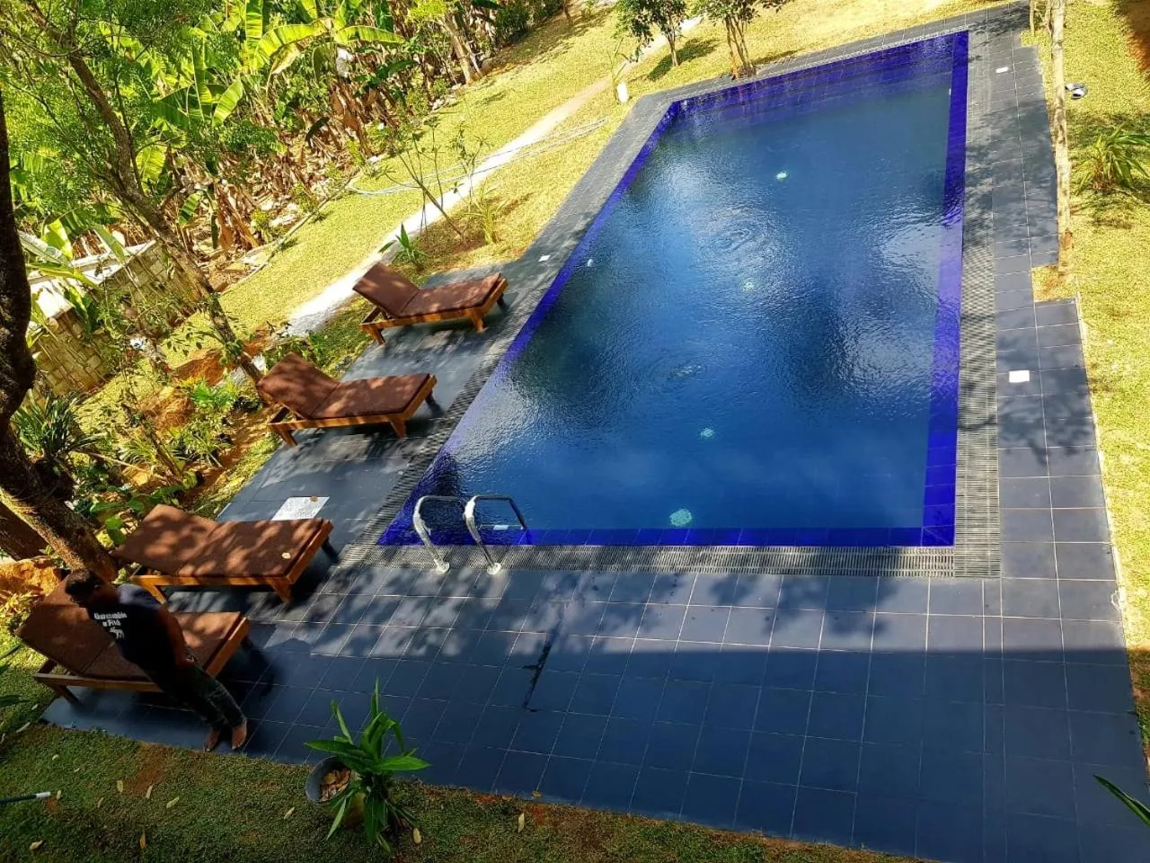 Swimming pool in il Frangipane