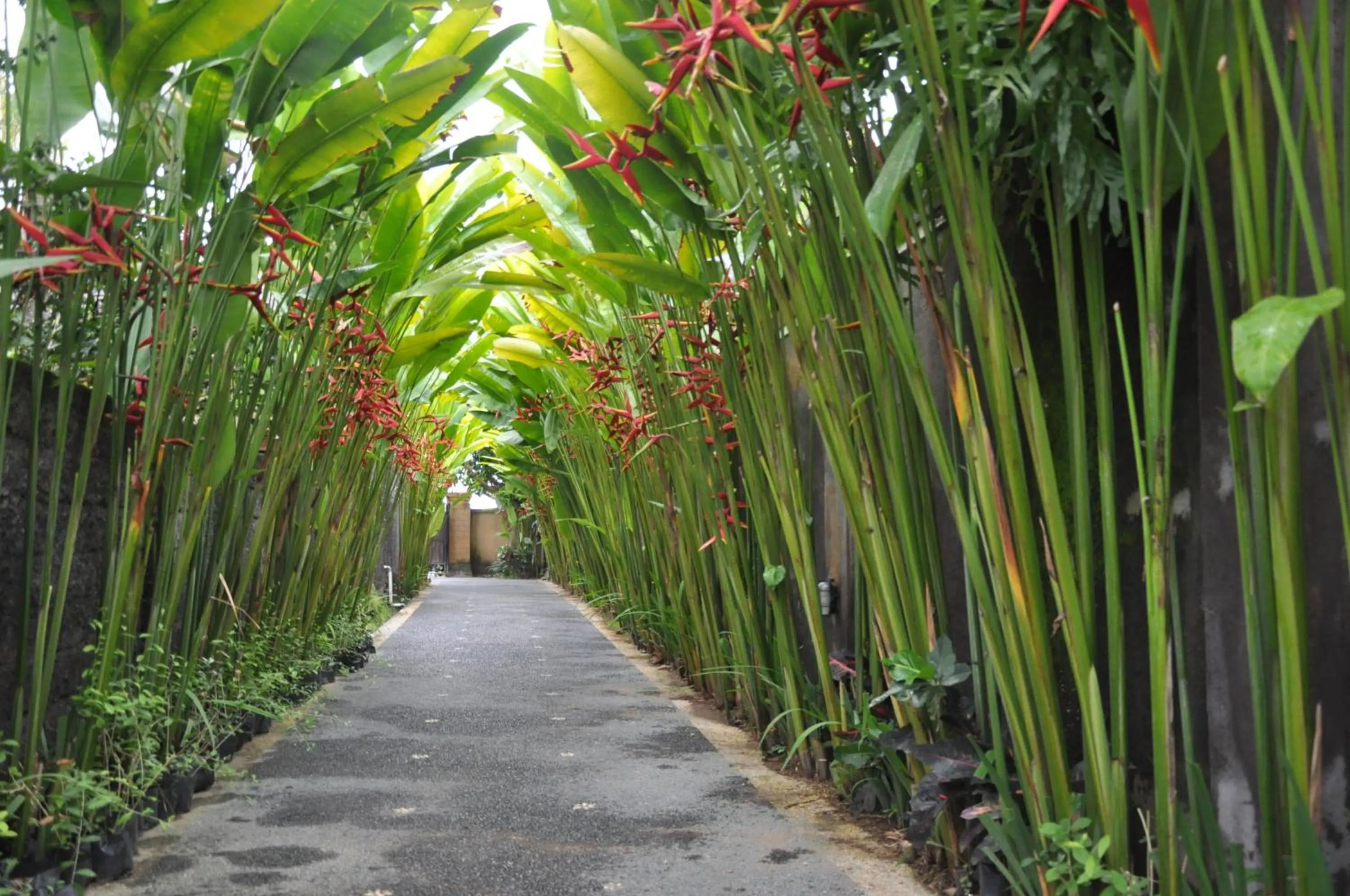 Garden in Kubudiuma Villas Bali