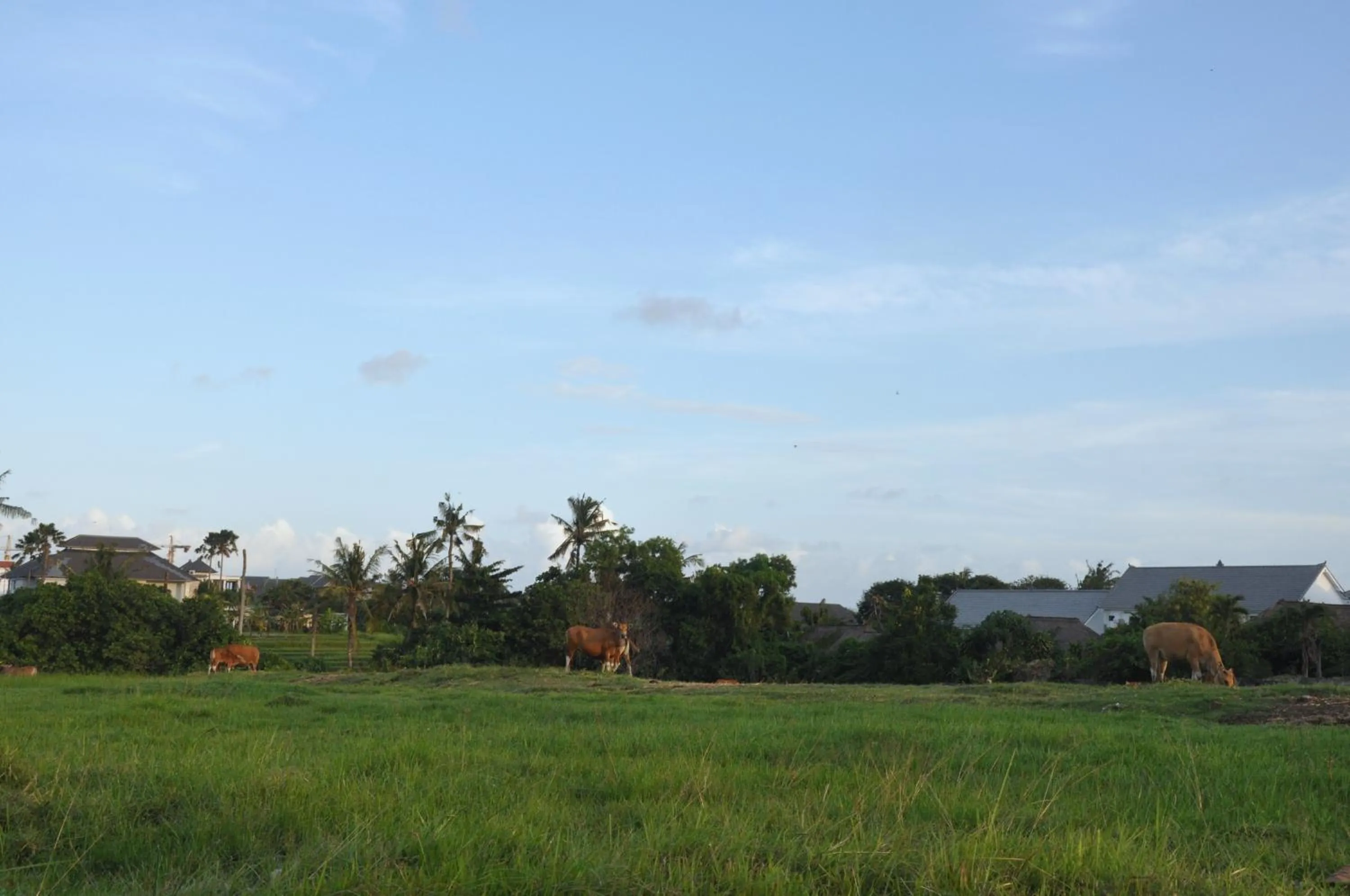 Kubudiuma Villas Bali