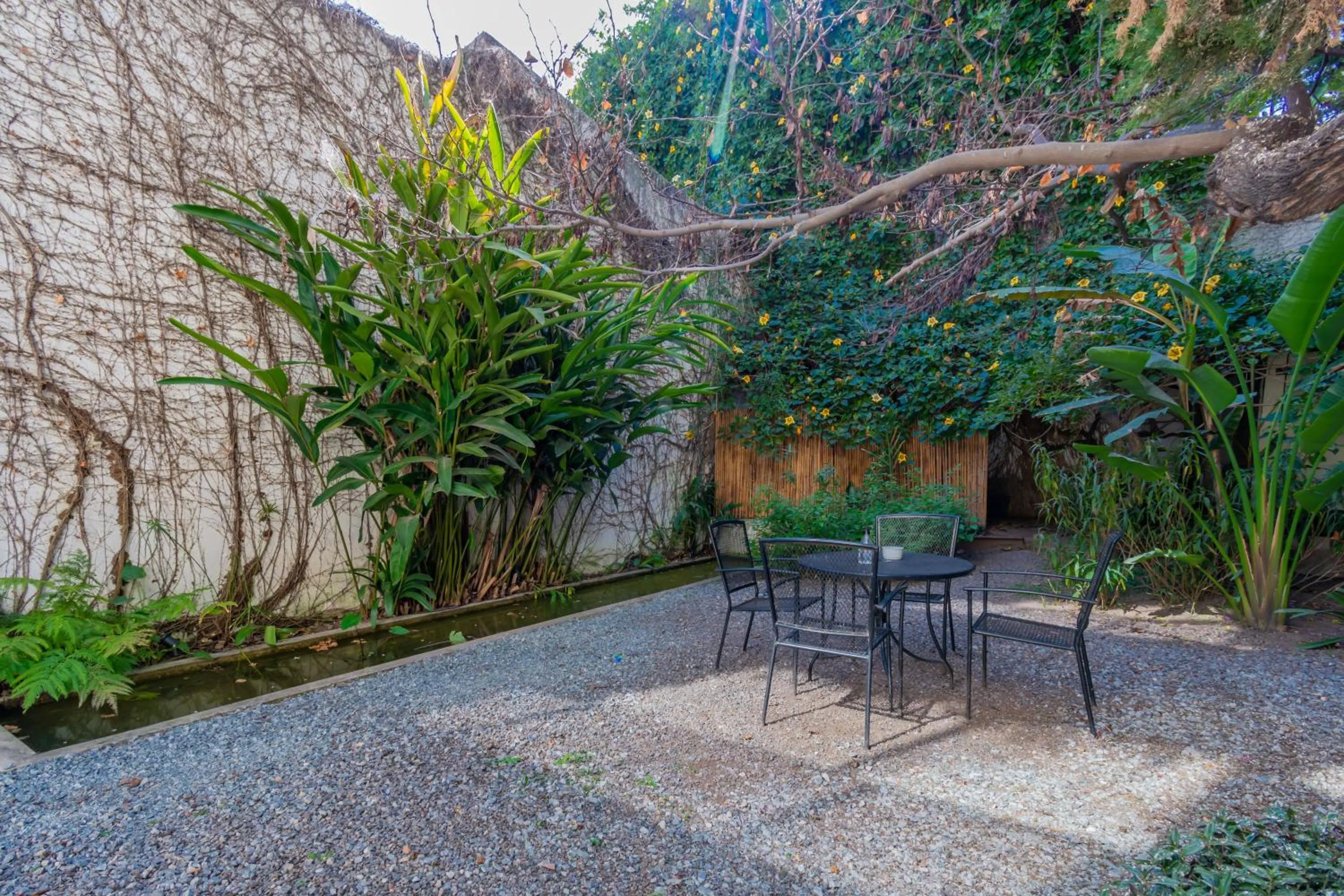Garden in Hotel BA Jardines Palermo