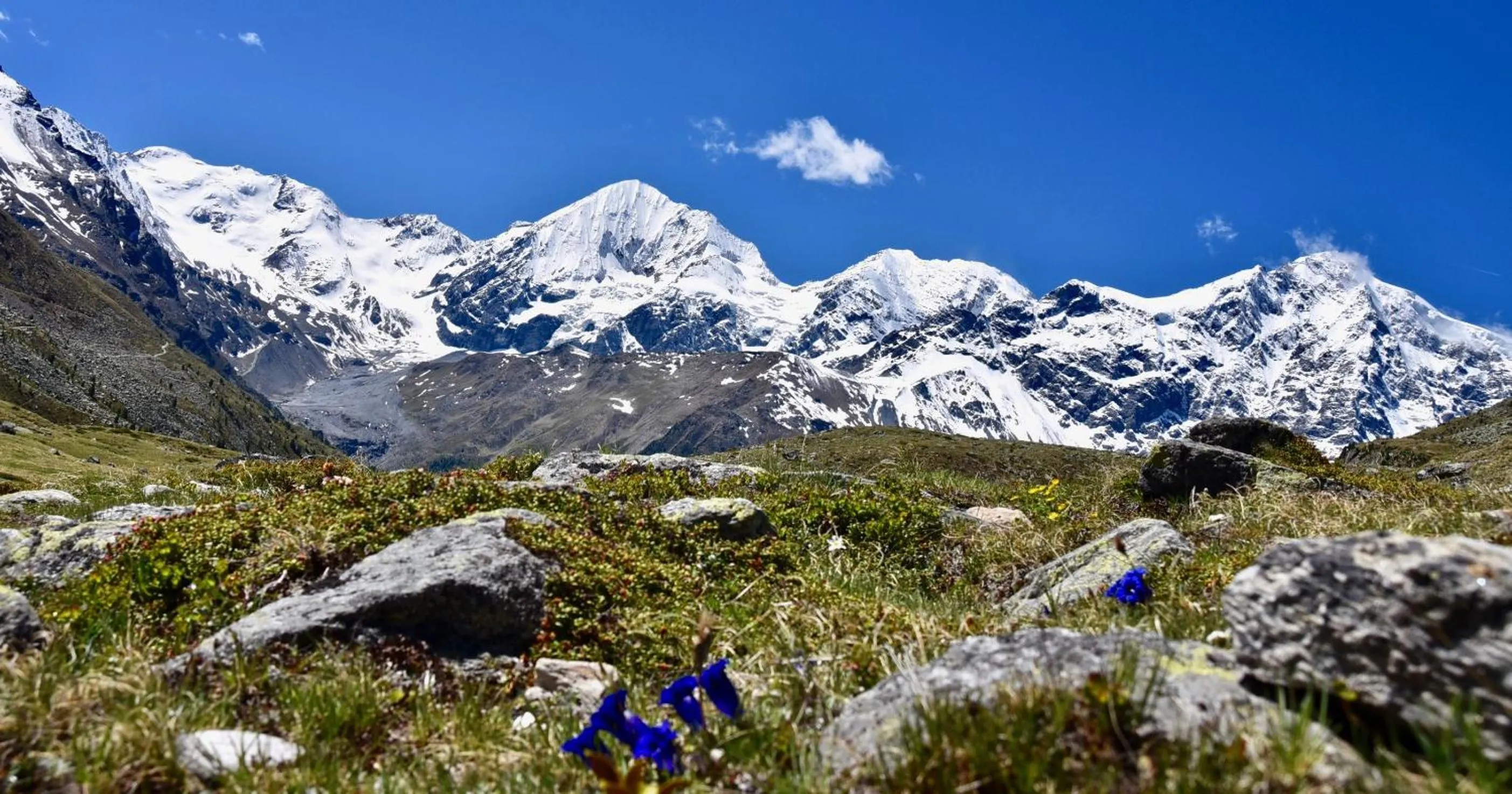 On site in Bed & Breakfast Hotel Nives