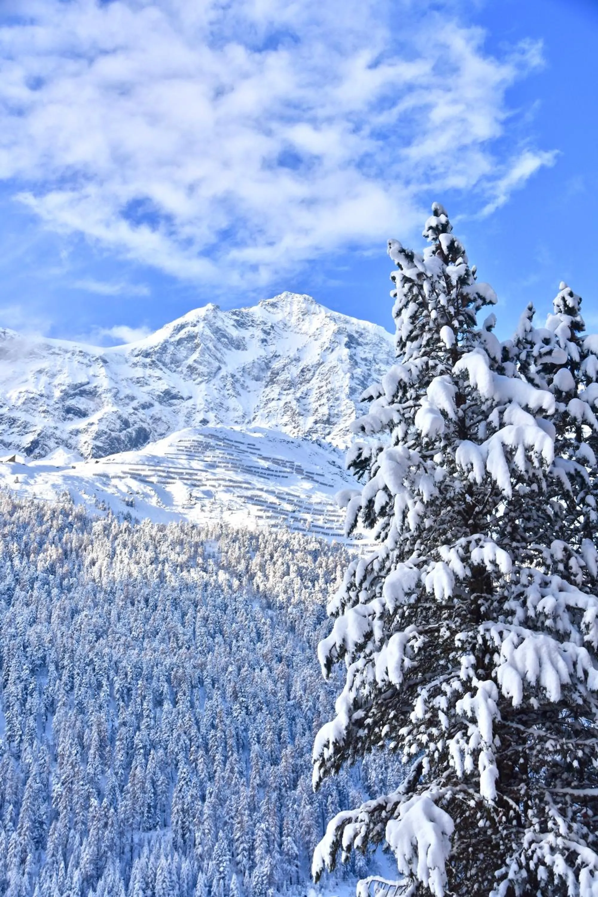 Ski School in Bed & Breakfast Hotel Nives