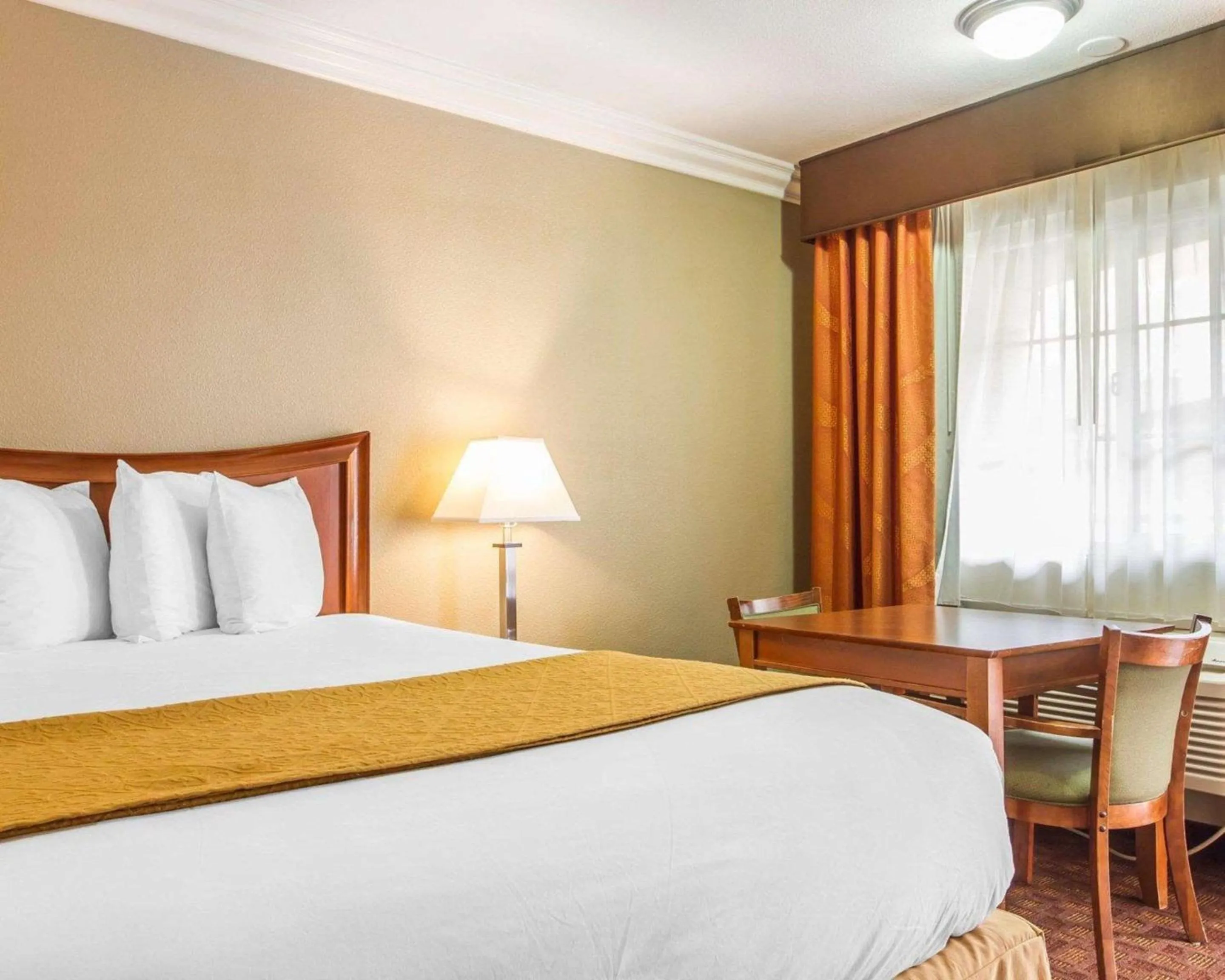 Bedroom, Bed in Quality Inn Sacramento Convention Center