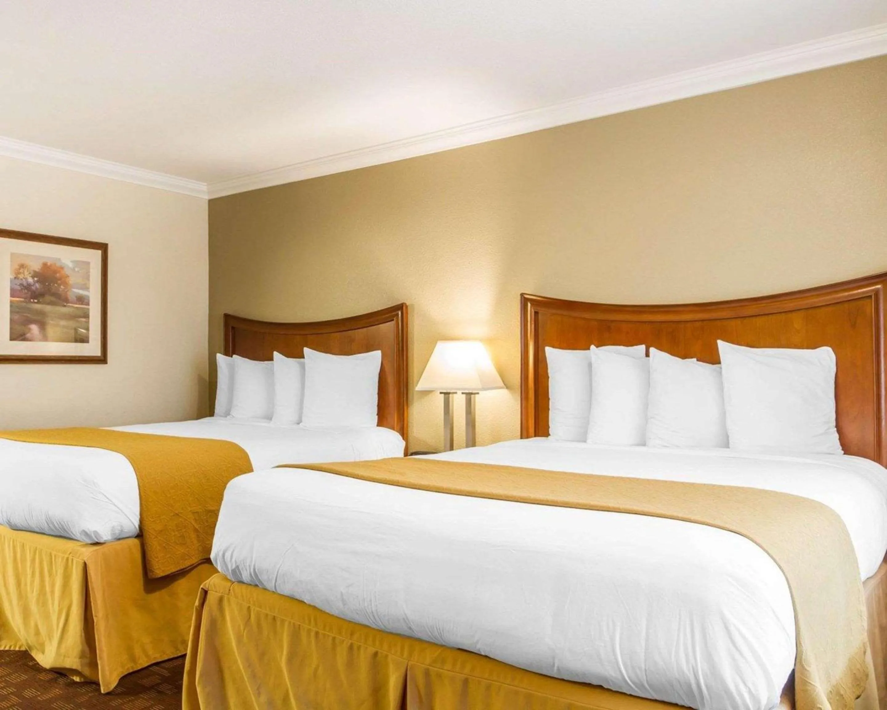 Bedroom, Bed in Quality Inn Sacramento Convention Center