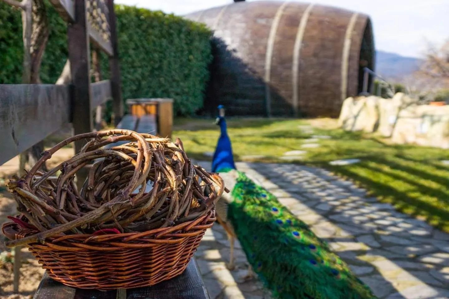 Wine & Spa Complex Starosel