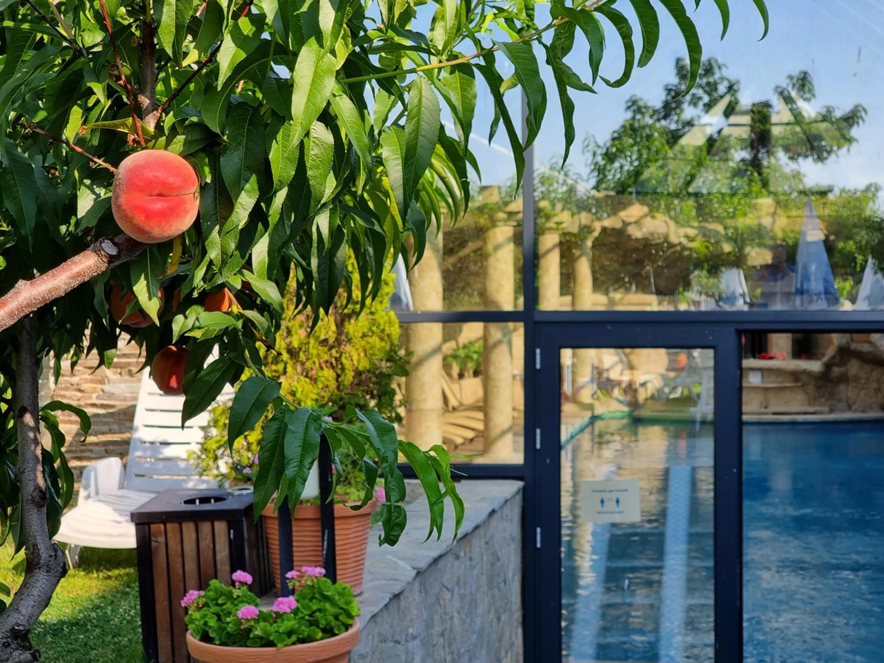 Pool view in Wine & Spa Complex Starosel