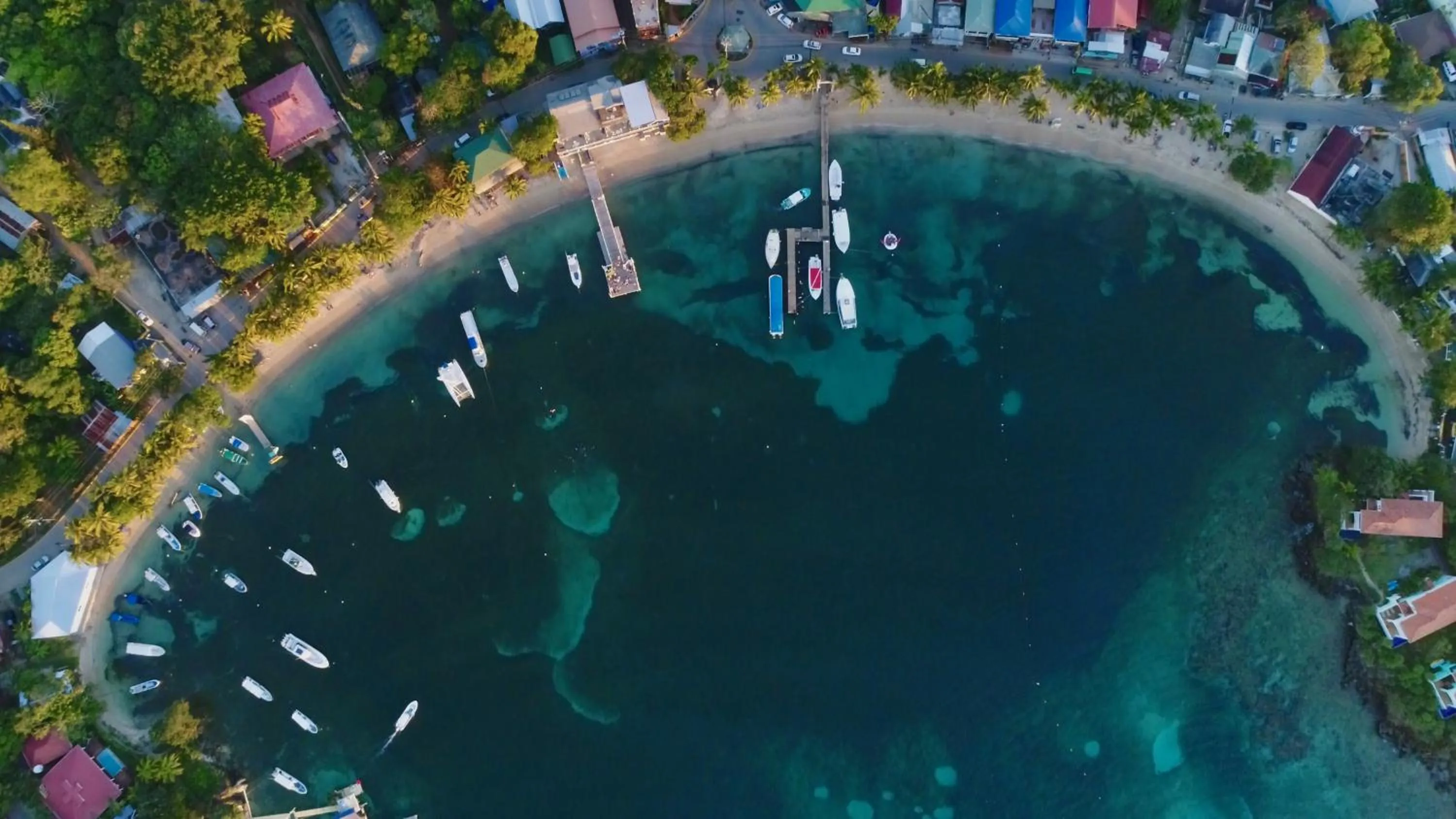 Restaurant/places to eat in mame trees