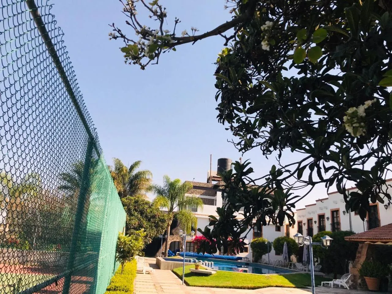 Garden in Hotel La Mansión