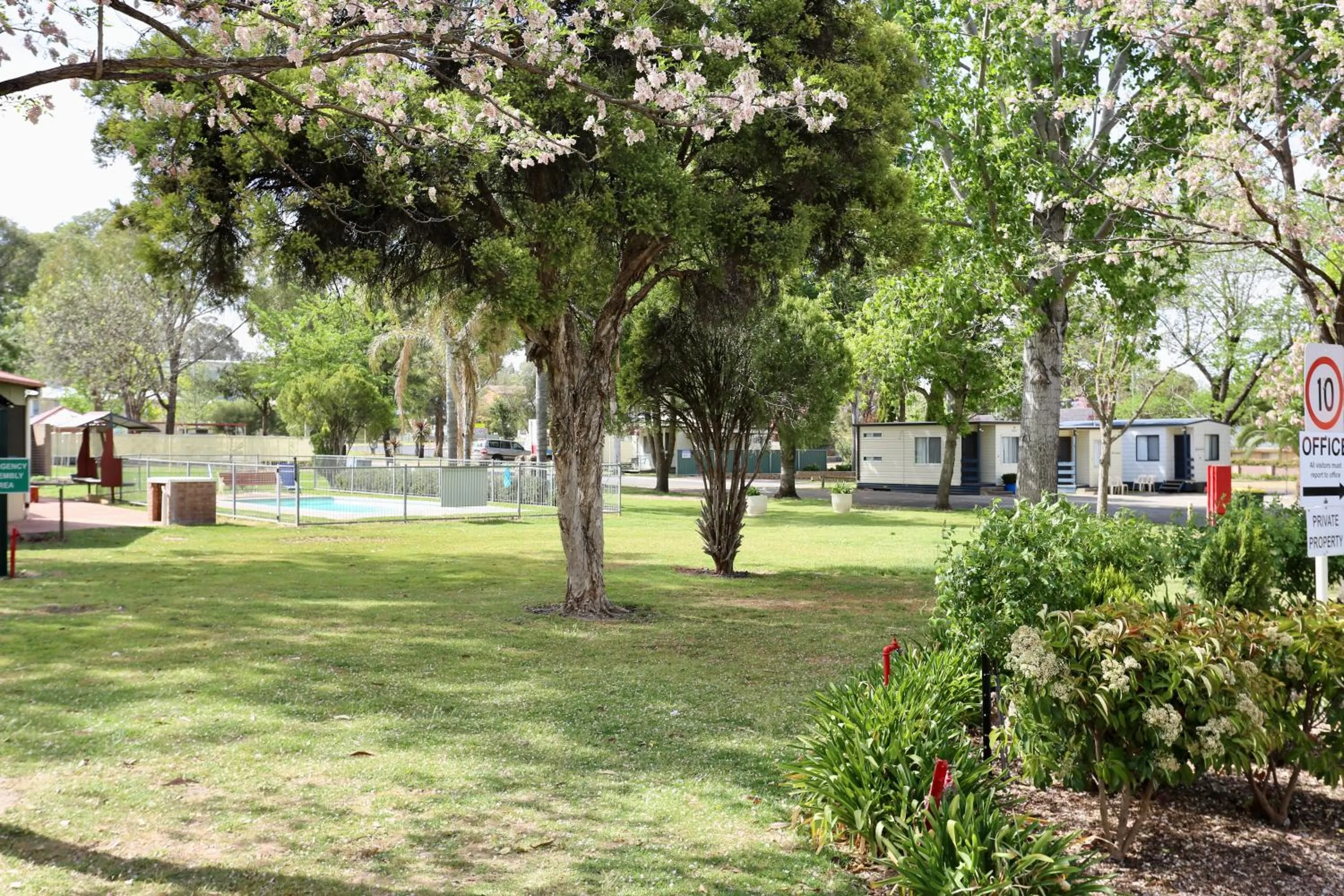 Natural landscape in Young Caravan and Tourist Park