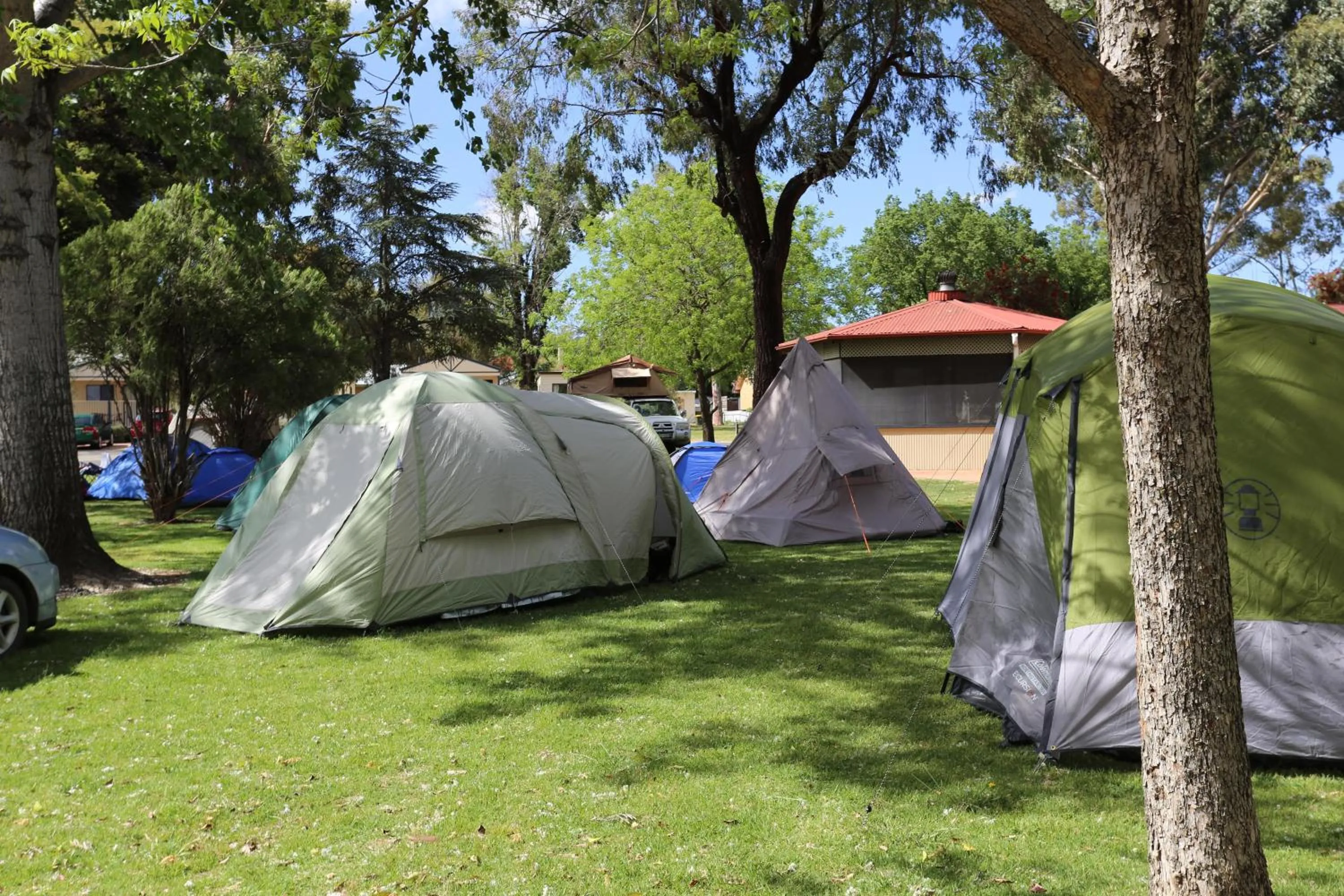 Garden in Young Caravan and Tourist Park