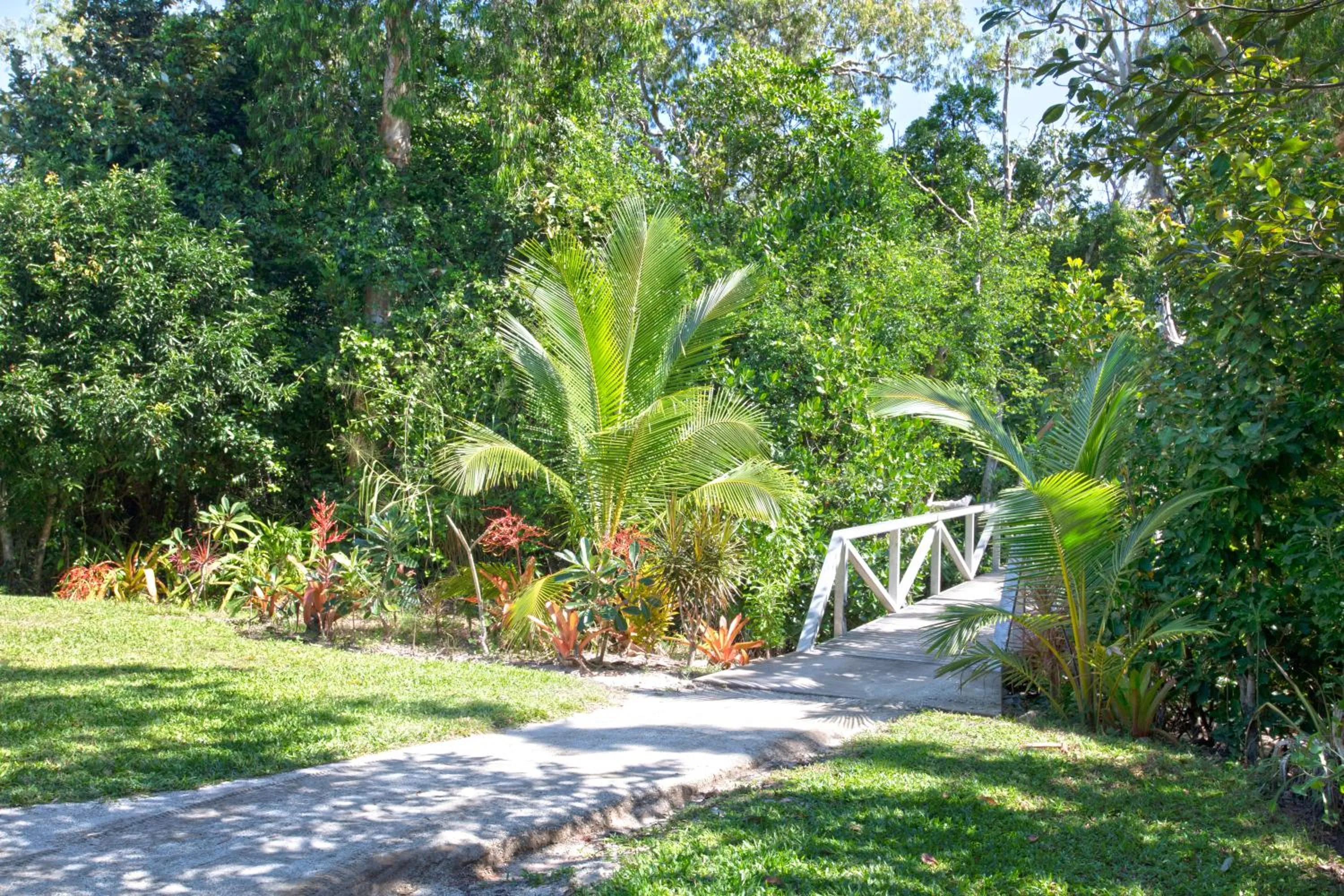 Garden in The Bungalows
