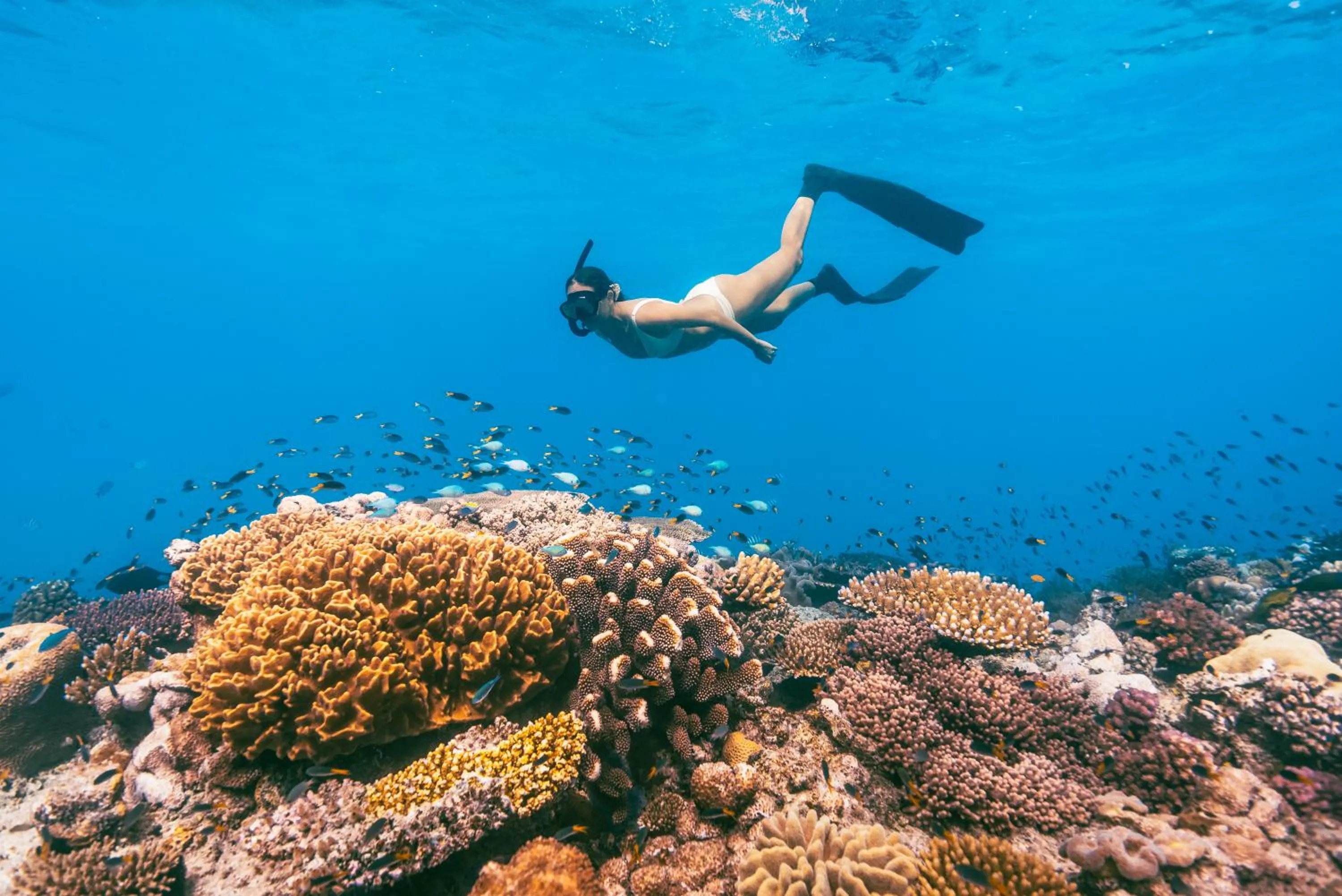 Snorkeling in The Bungalows