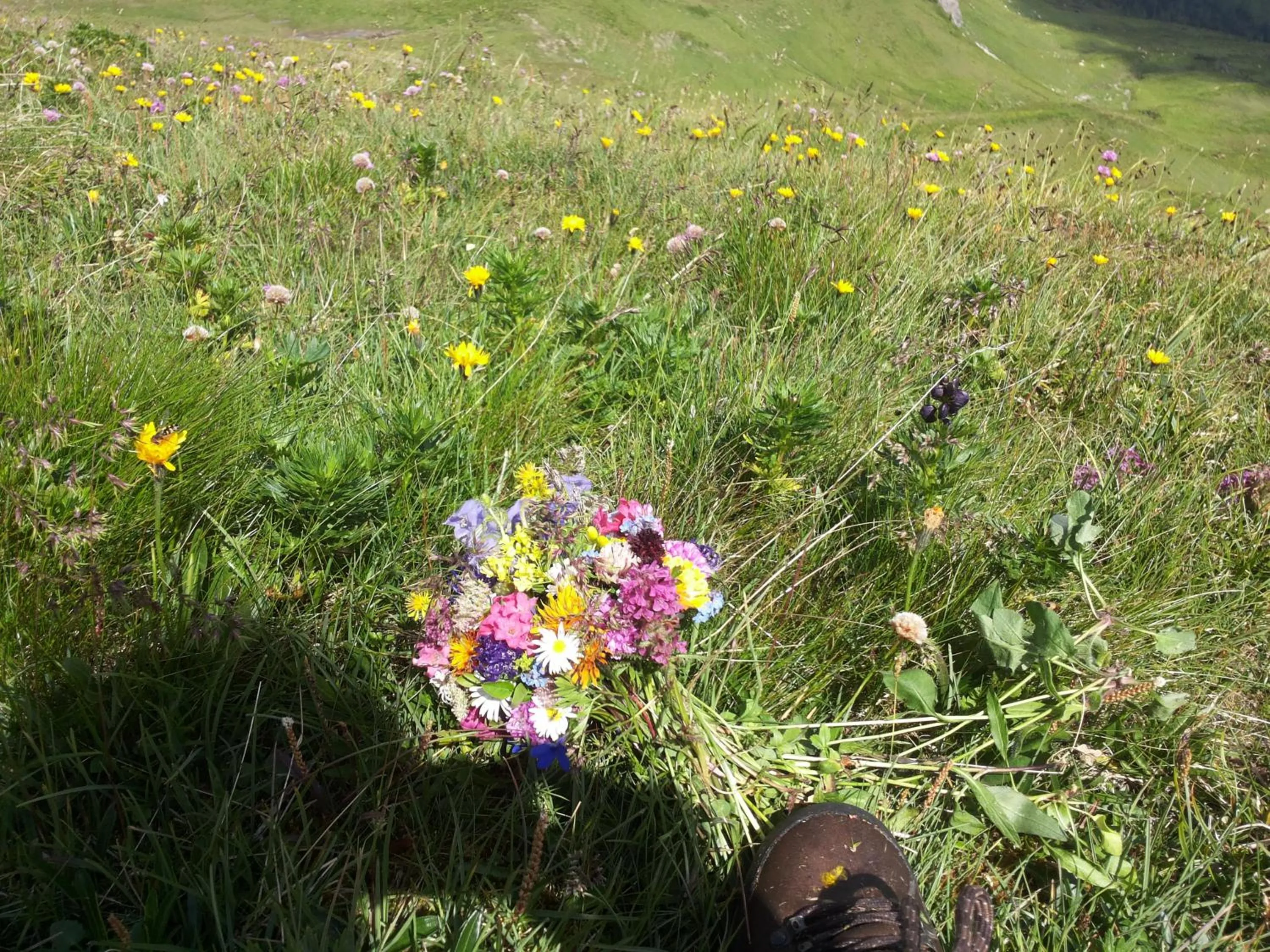 Brandstättergut