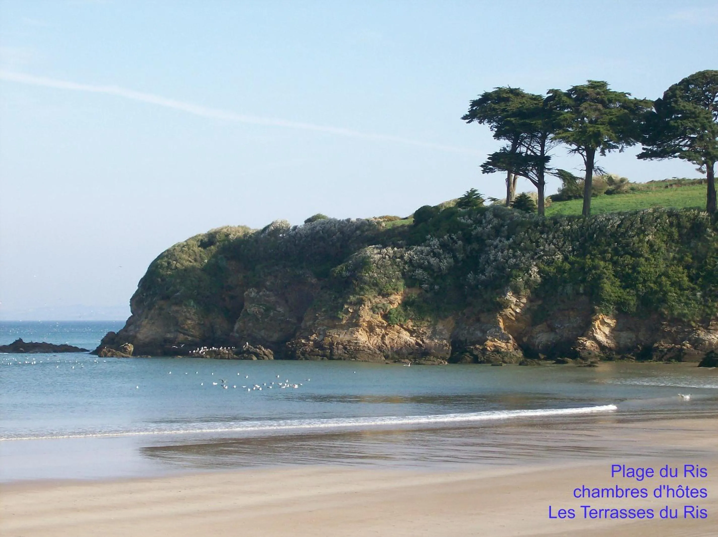 Beach in Les Terrasses du Ris