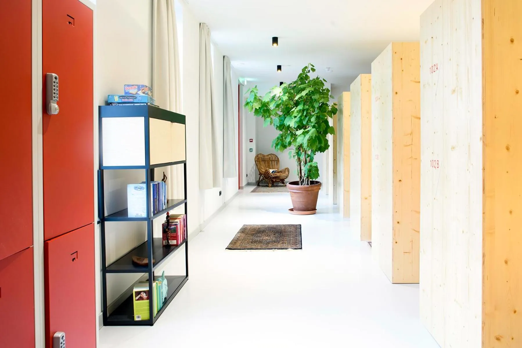 Photo of the whole room in The Green Elephant Hostel & Spa