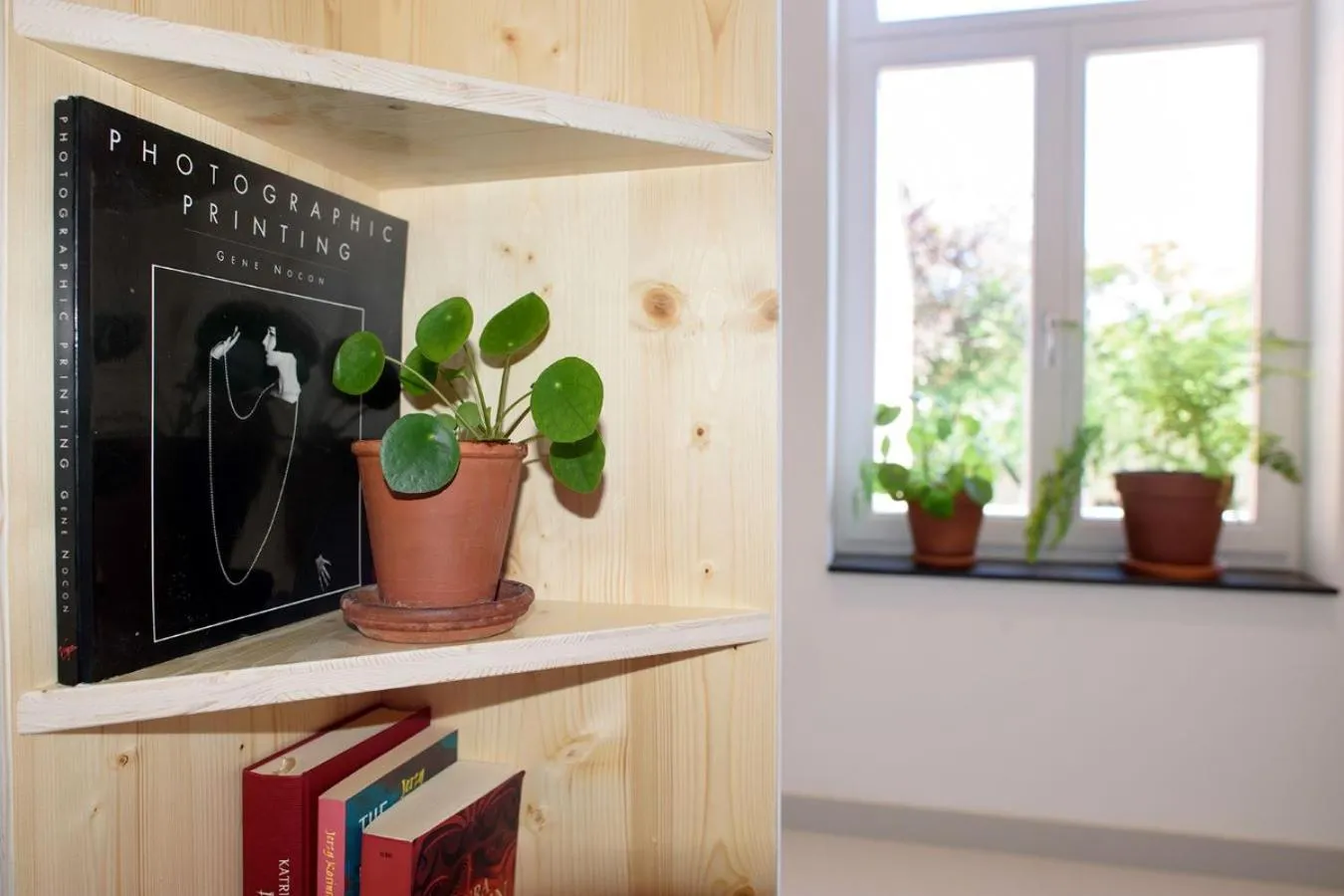 Library in The Green Elephant Hostel & Spa