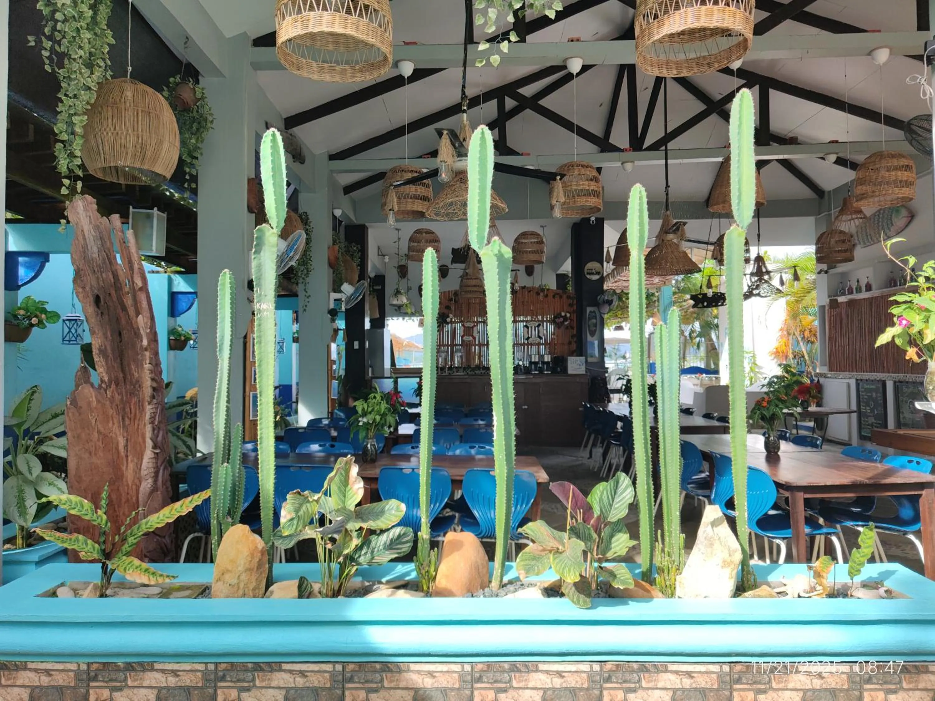 Restaurant/places to eat in Ferellee Beach Front Inn