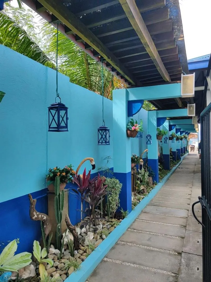 View (from property/room) in Ferellee Beach Front Inn