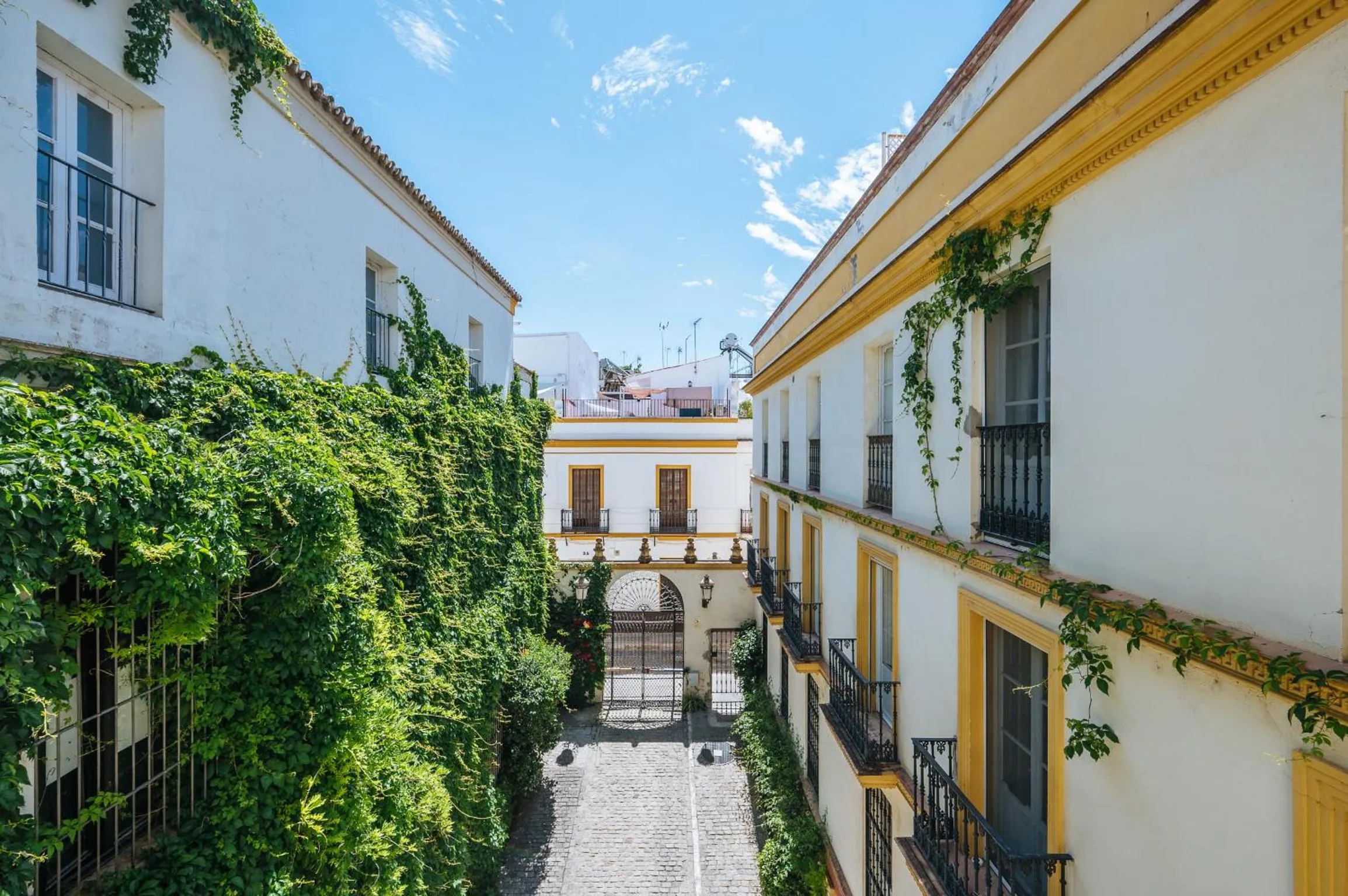 Property building in Vidrio 36