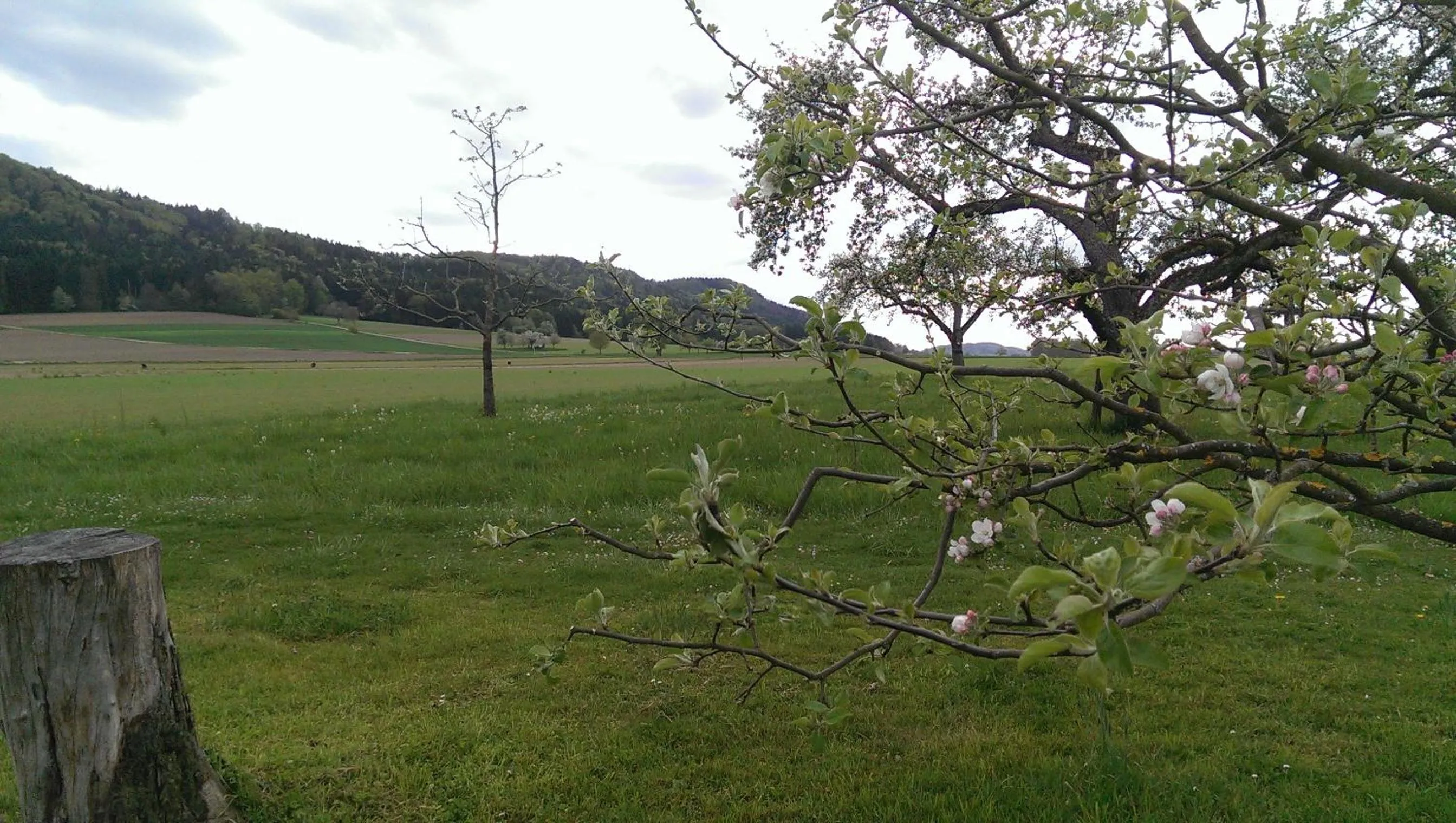 Natural landscape in Hotel Zapa