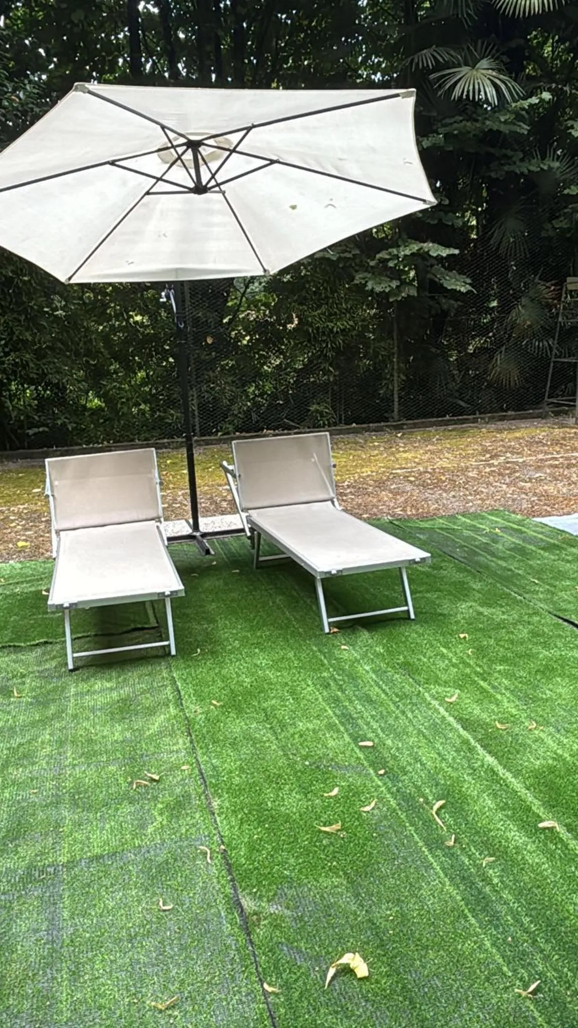 Swimming pool in Villa Magnolia Lago Maggiore
