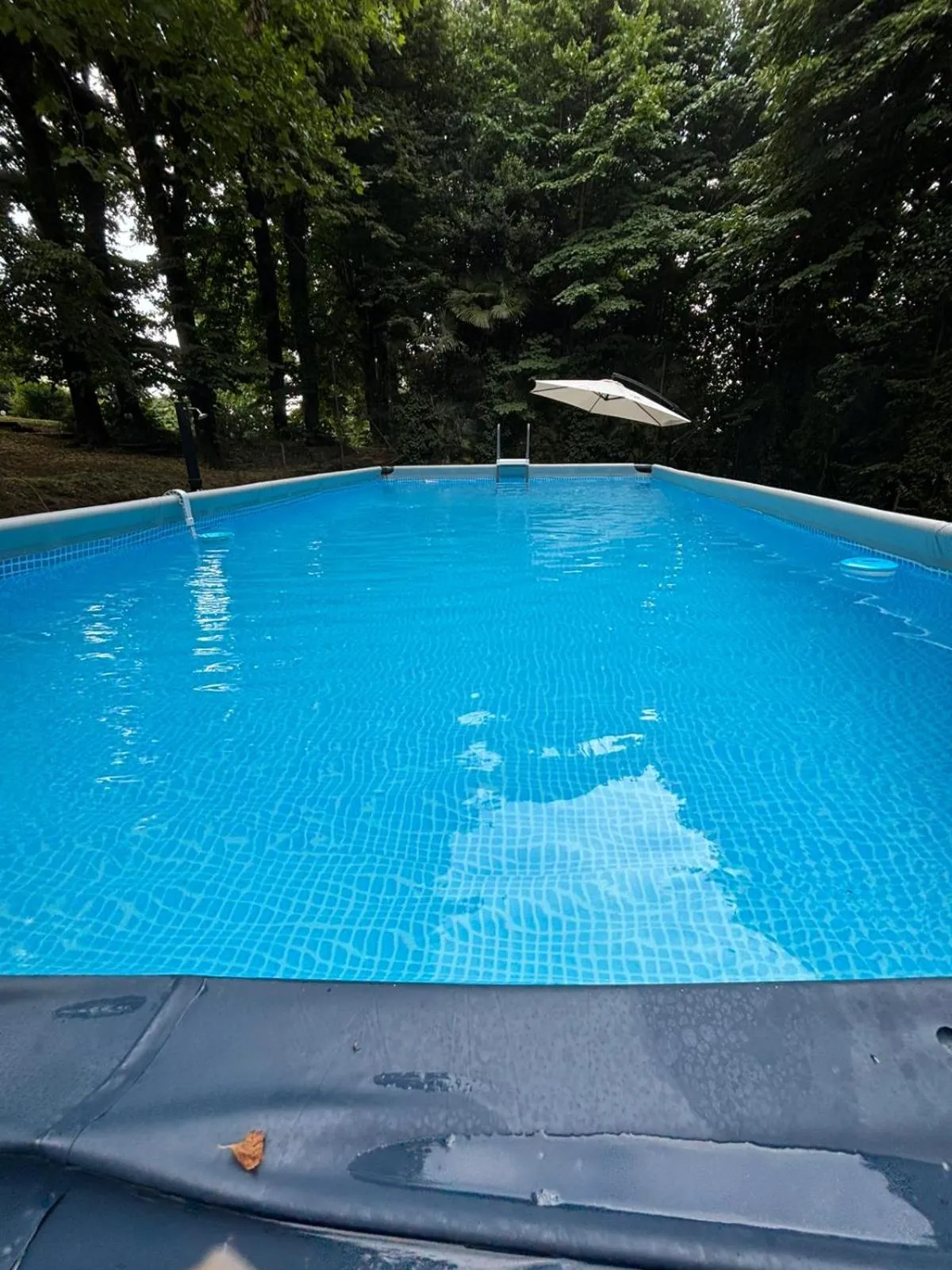 Swimming pool in Villa Magnolia Lago Maggiore