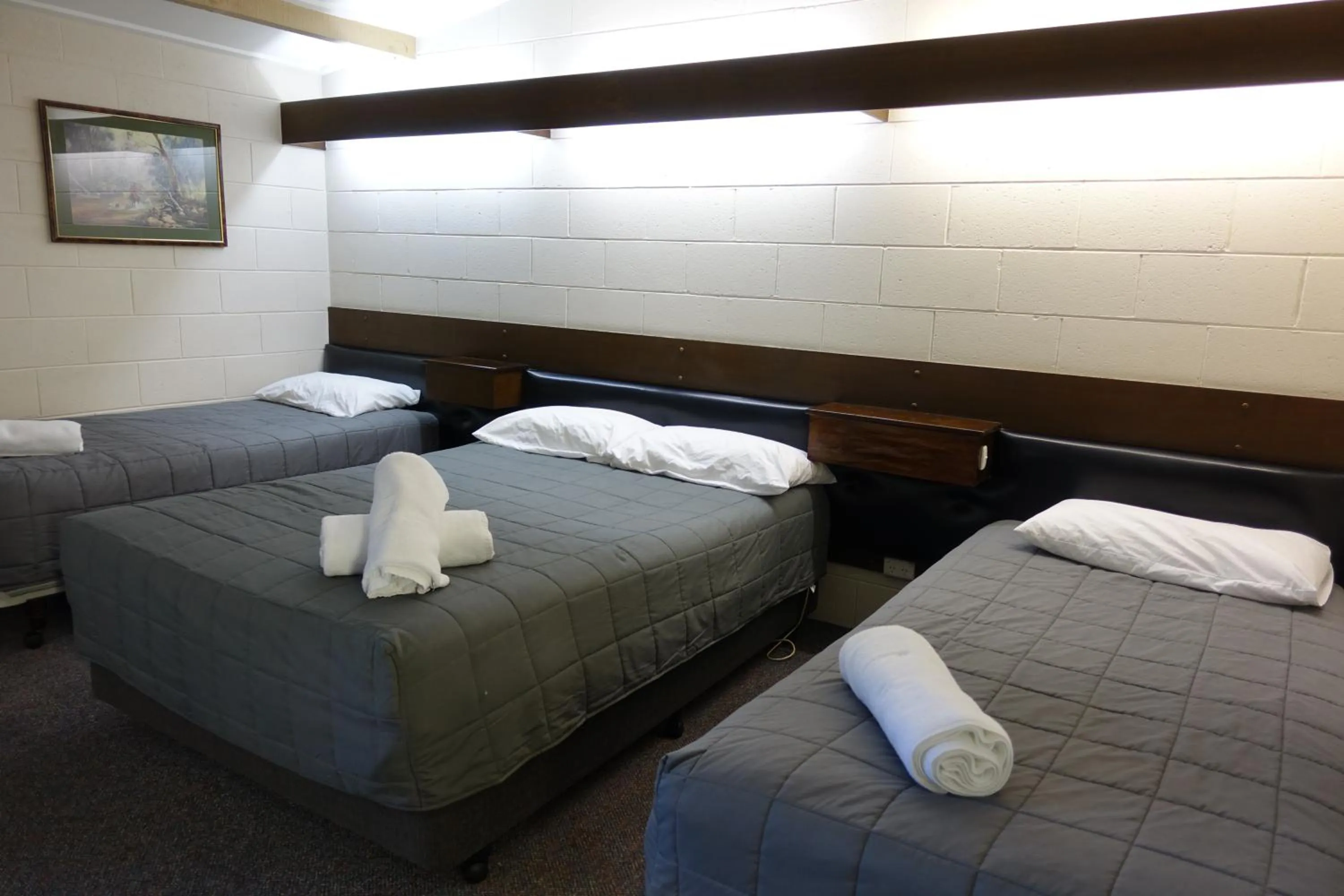 Bed in Coal Creek Motel