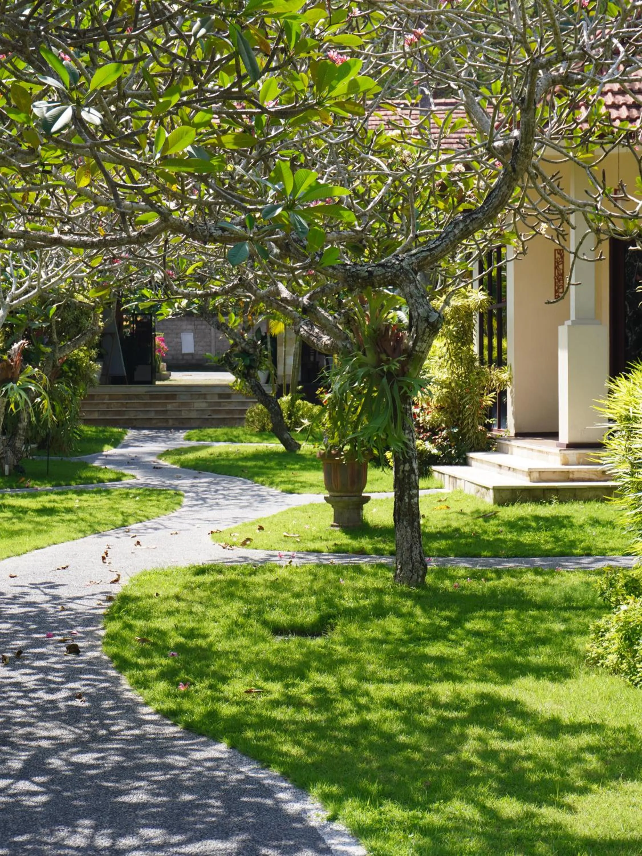 Garden in Orlowsky Discovery Candidasa Hotel