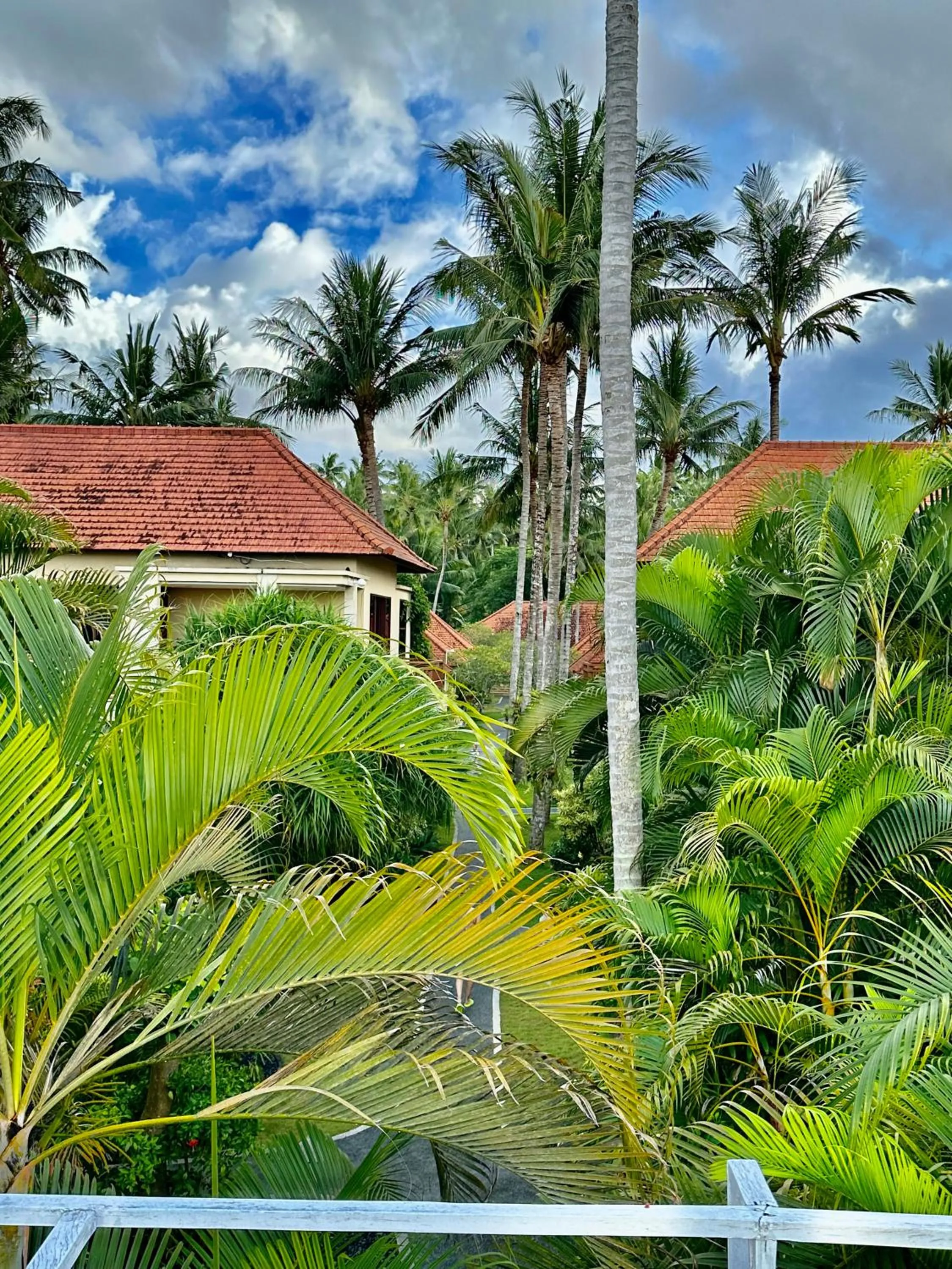 Garden view in Orlowsky Discovery Candidasa Hotel