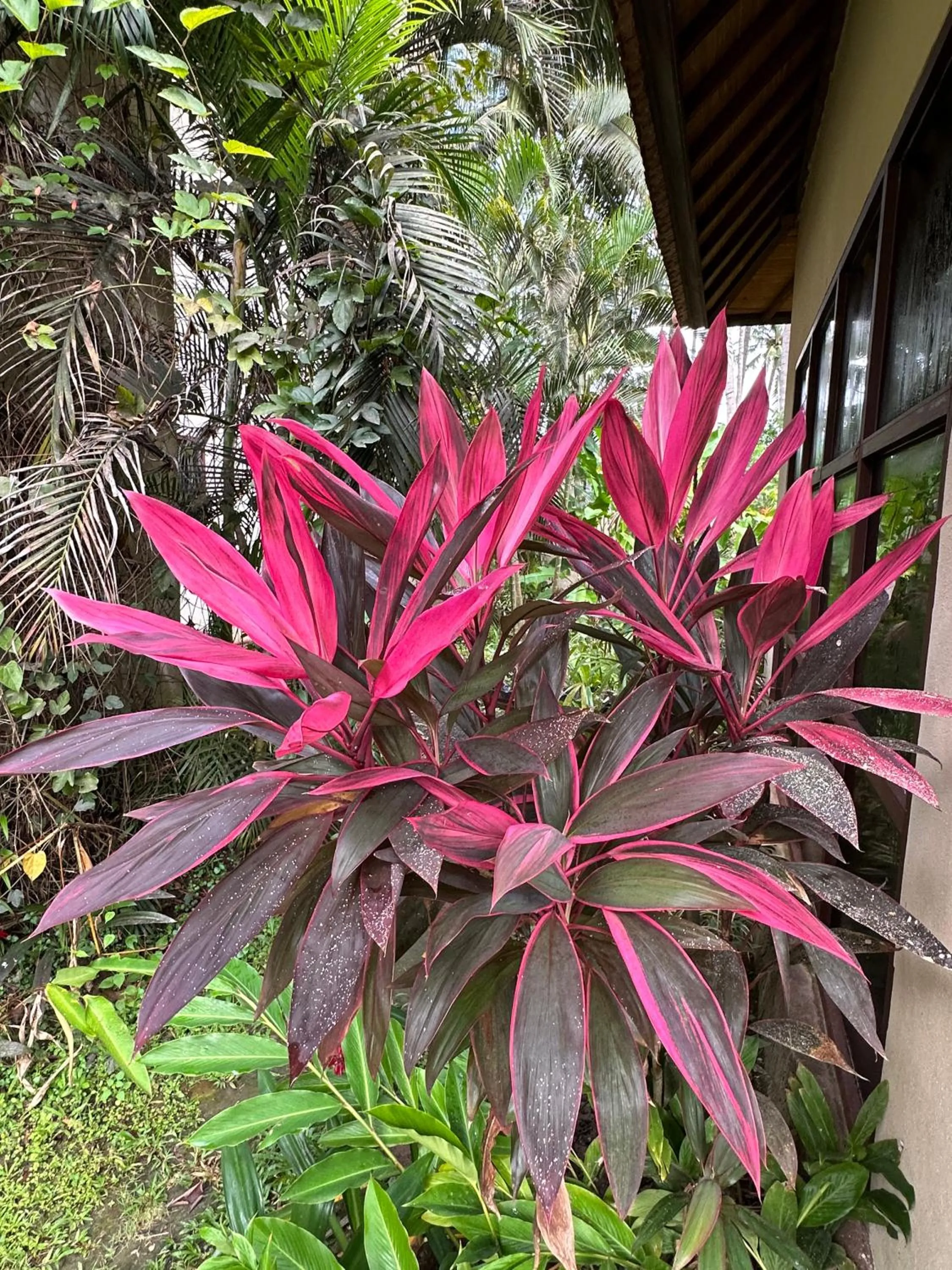 Day in Orlowsky Discovery Candidasa Hotel