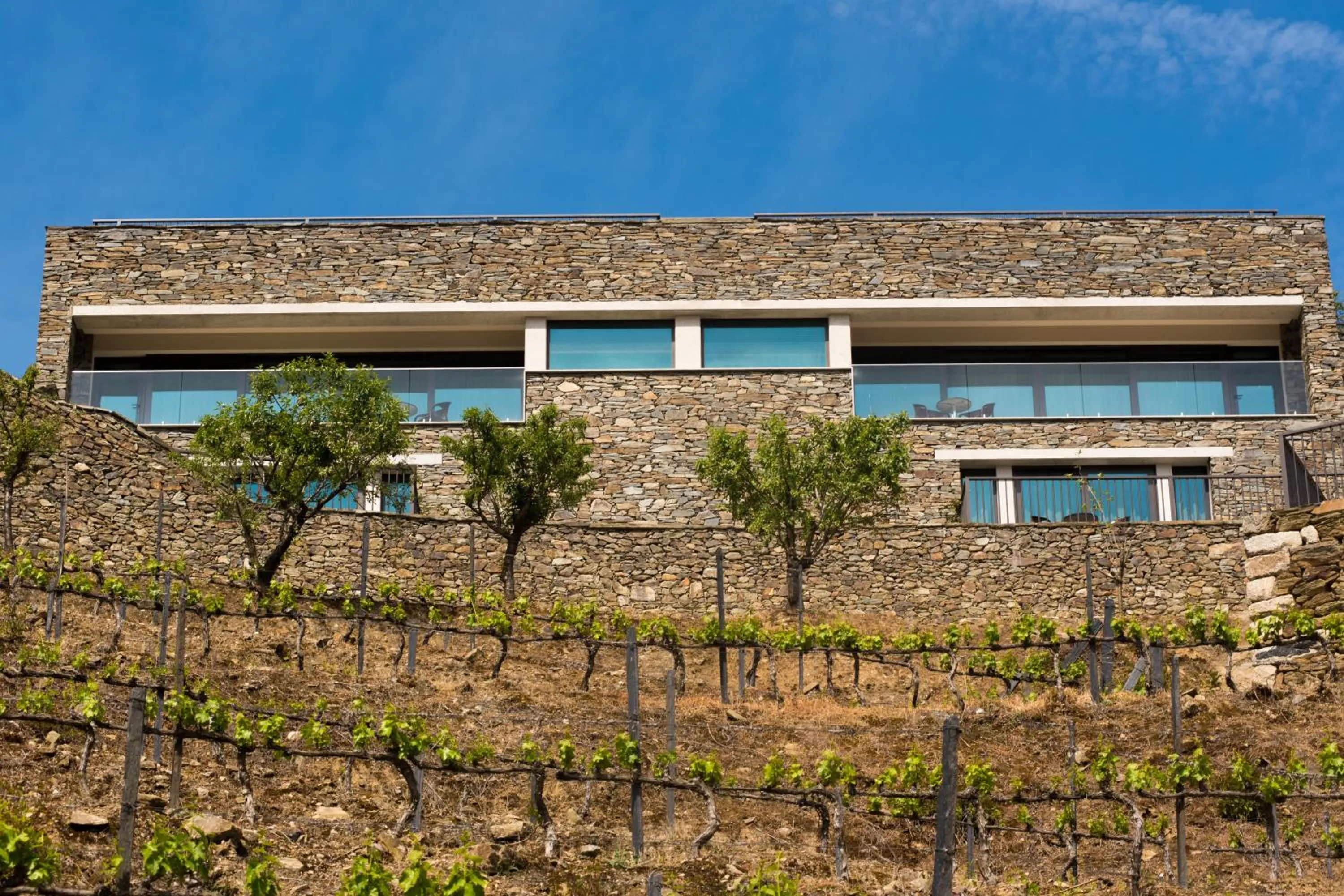 Property building in Vila Gale Douro Vineyards