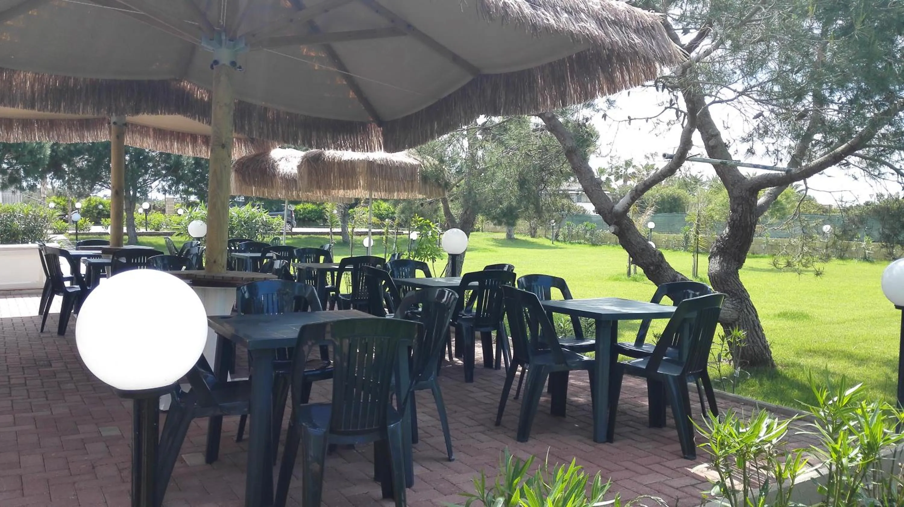 Garden in Samanà B&B