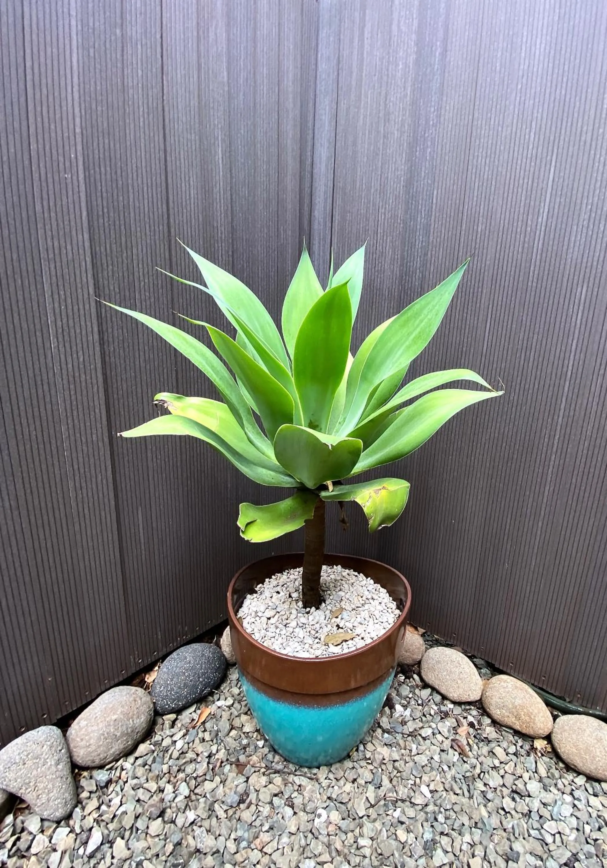 View (from property/room) in Villas Kalei