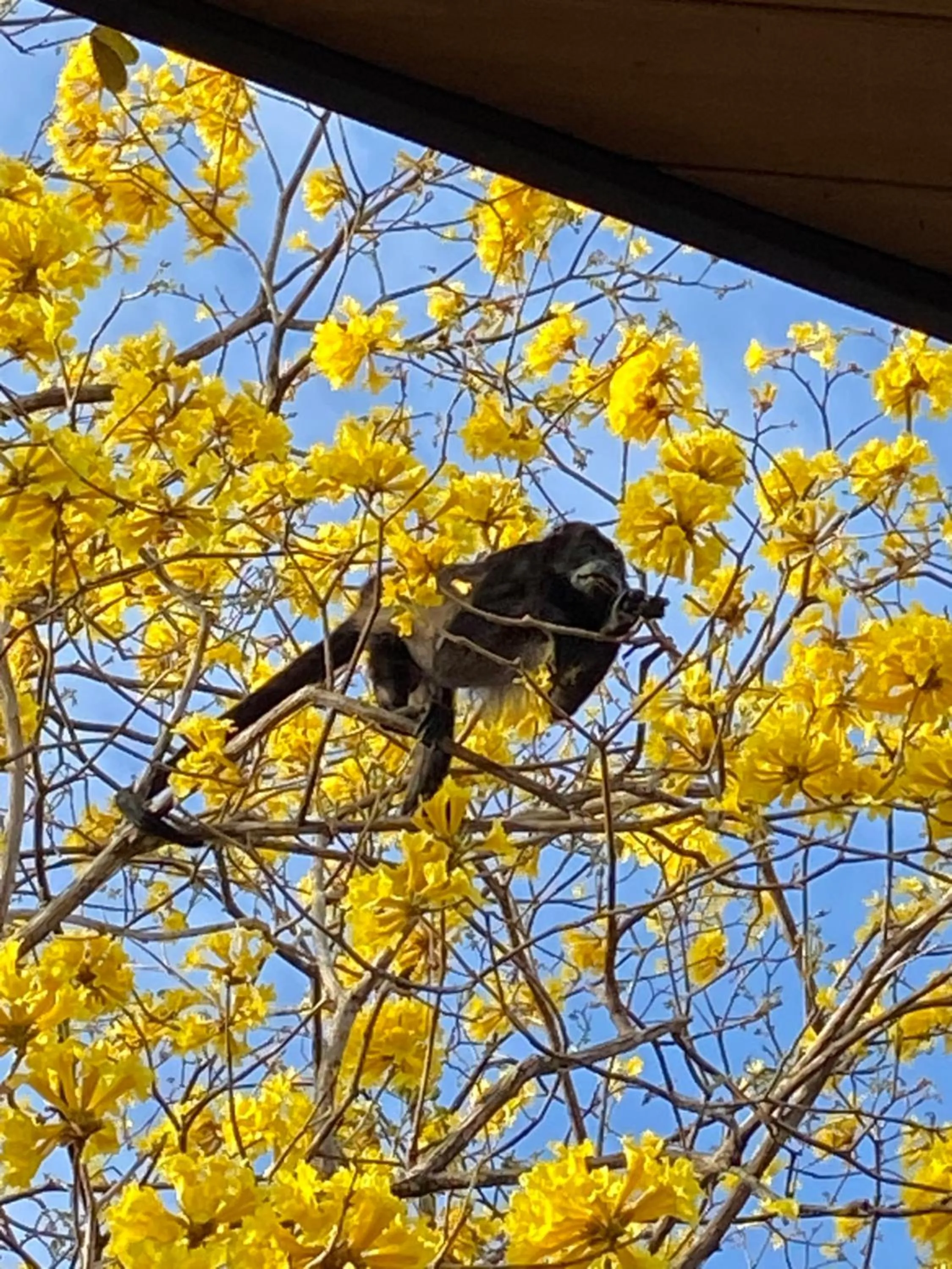 Natural landscape in Villas Kalei