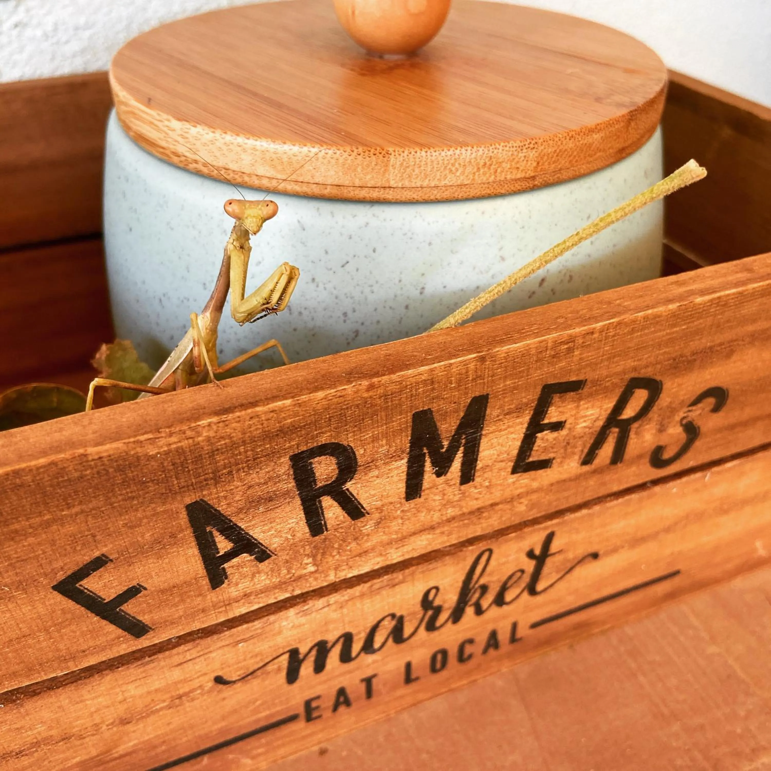 Guests in Villas Kalei