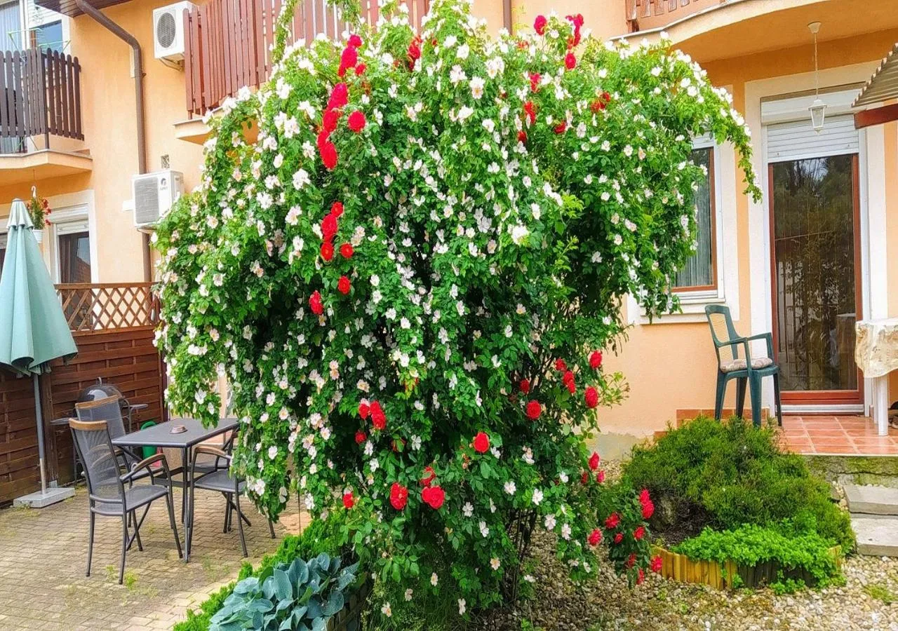 Garden in Hellasz Apartman